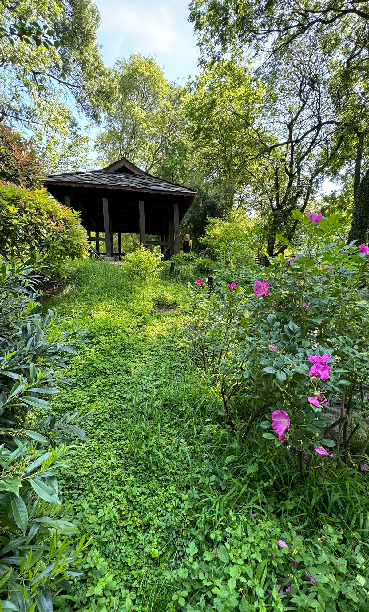 Grădina Botanică Jevremovac. Belgrad