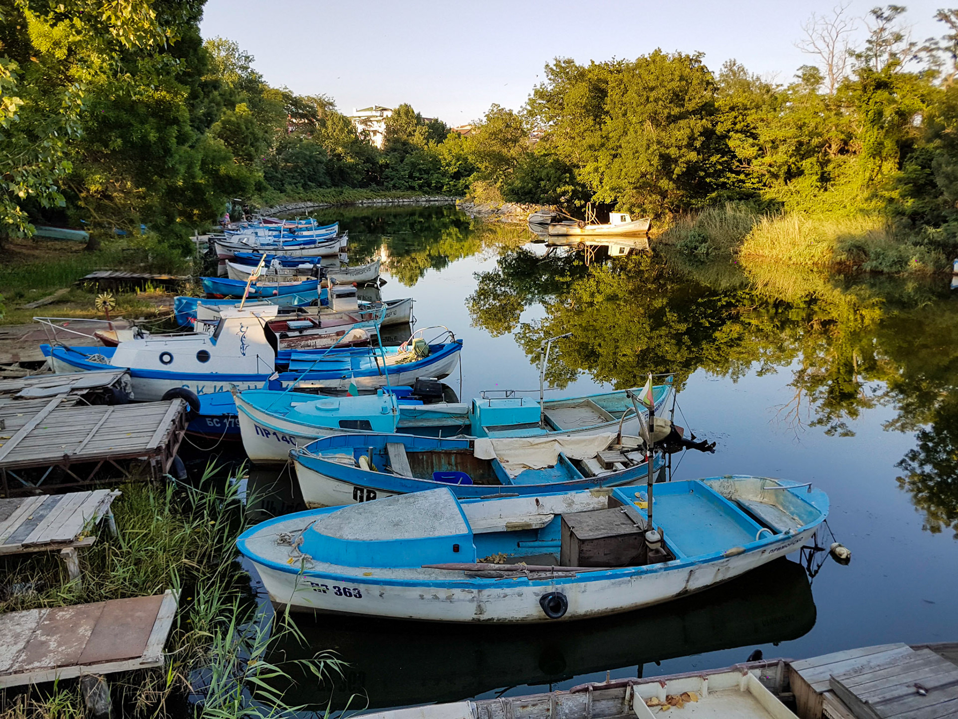 Raul Dyavolska. Primorsko