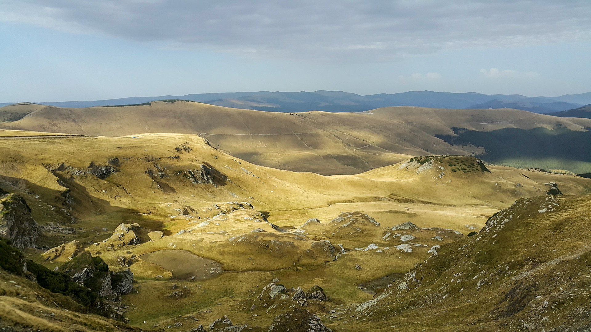 Transalpina