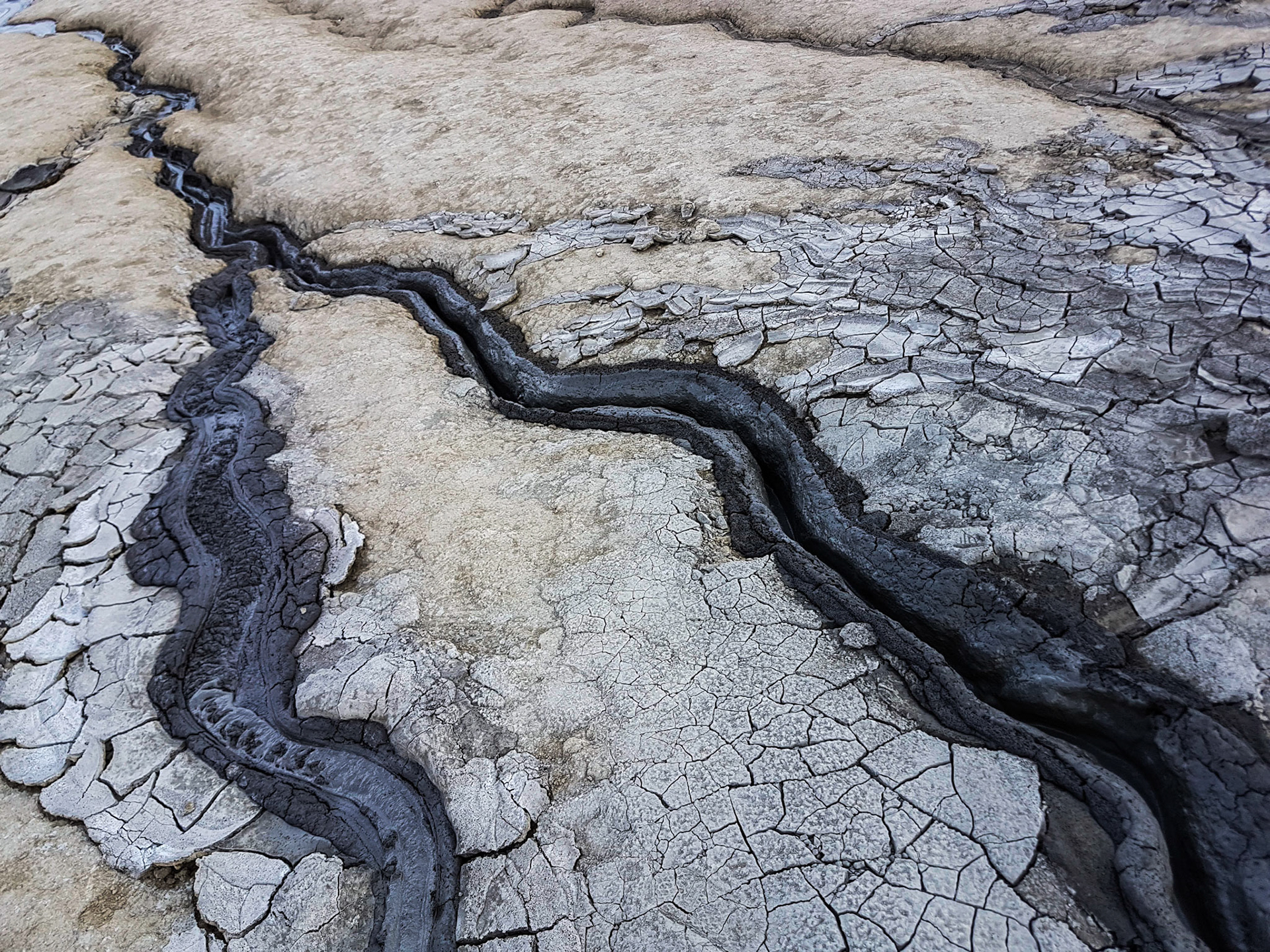 Vulcanii Noroiosi. Scortoasa