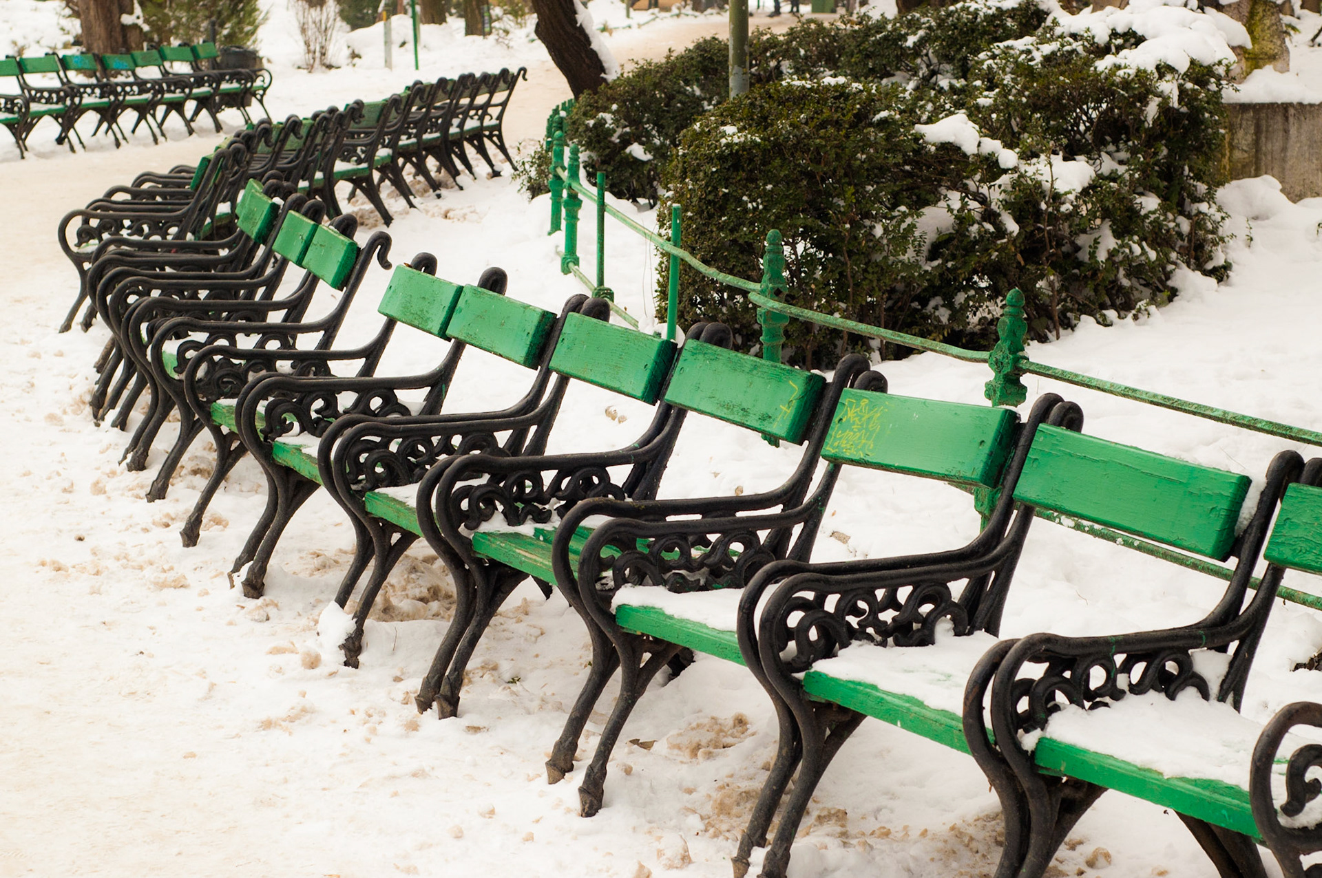 Parcul Cișmigiu. București