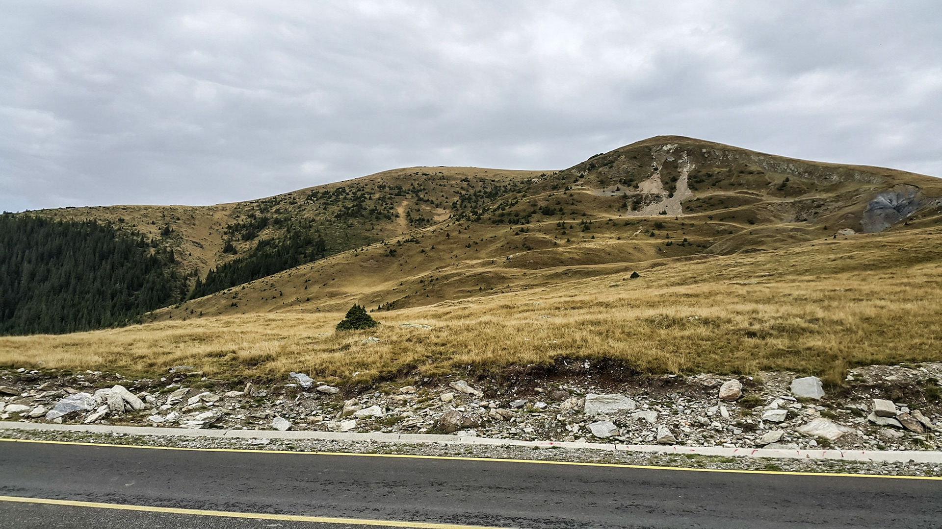 Transalpina