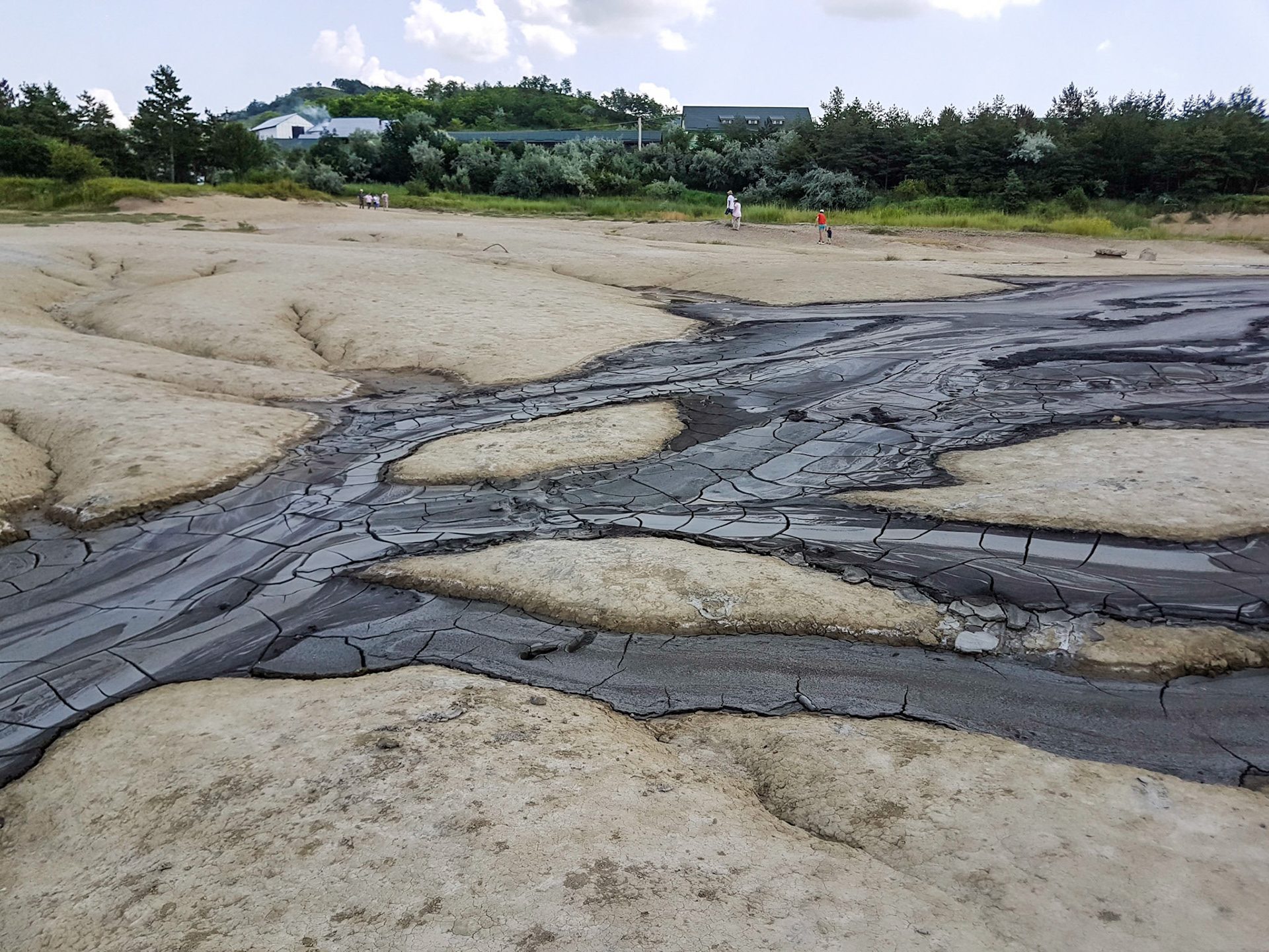 Vulcanii Noroiosi. Scortoasa