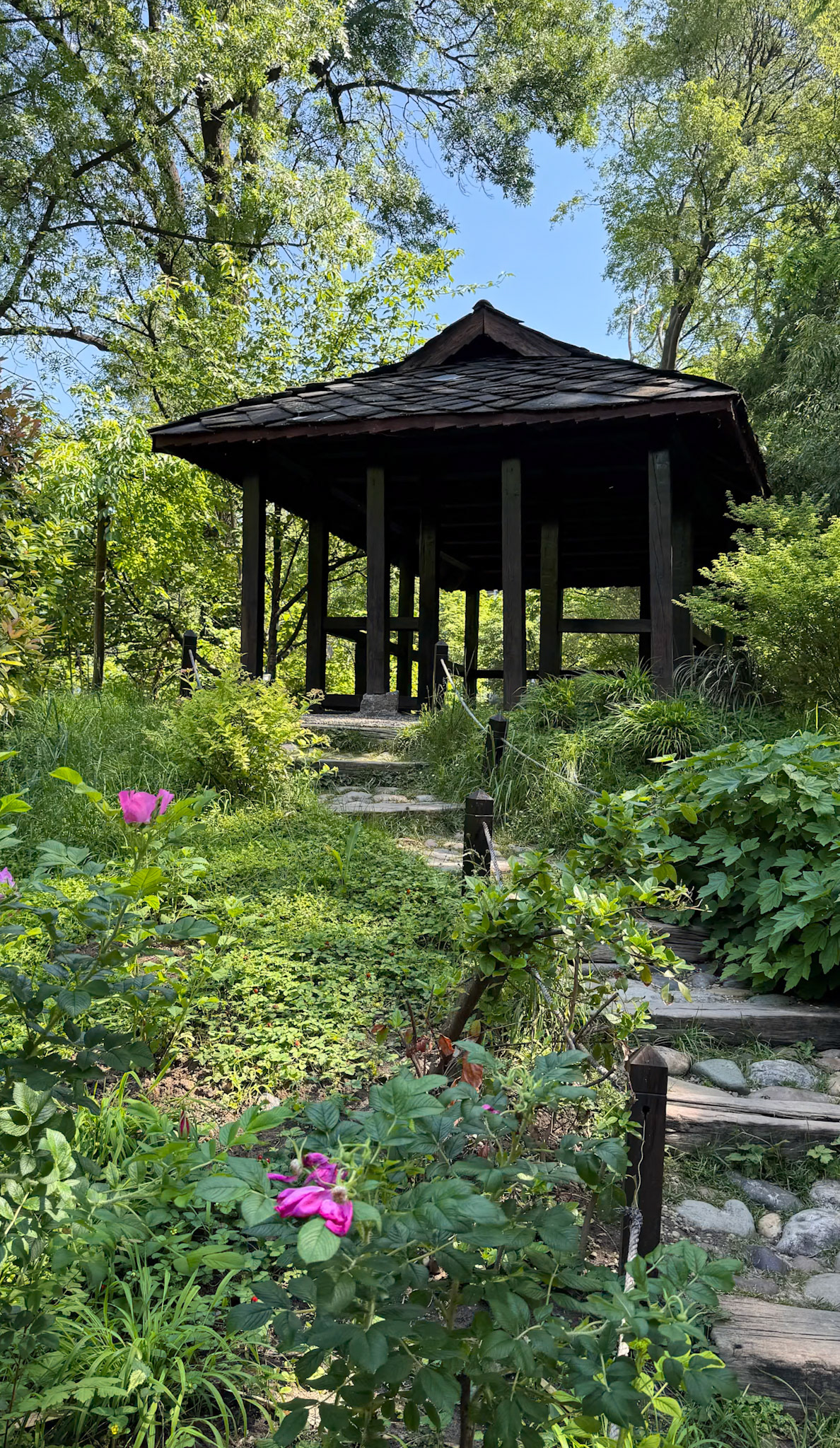 Grădina Botanică Jevremovac. Belgrad