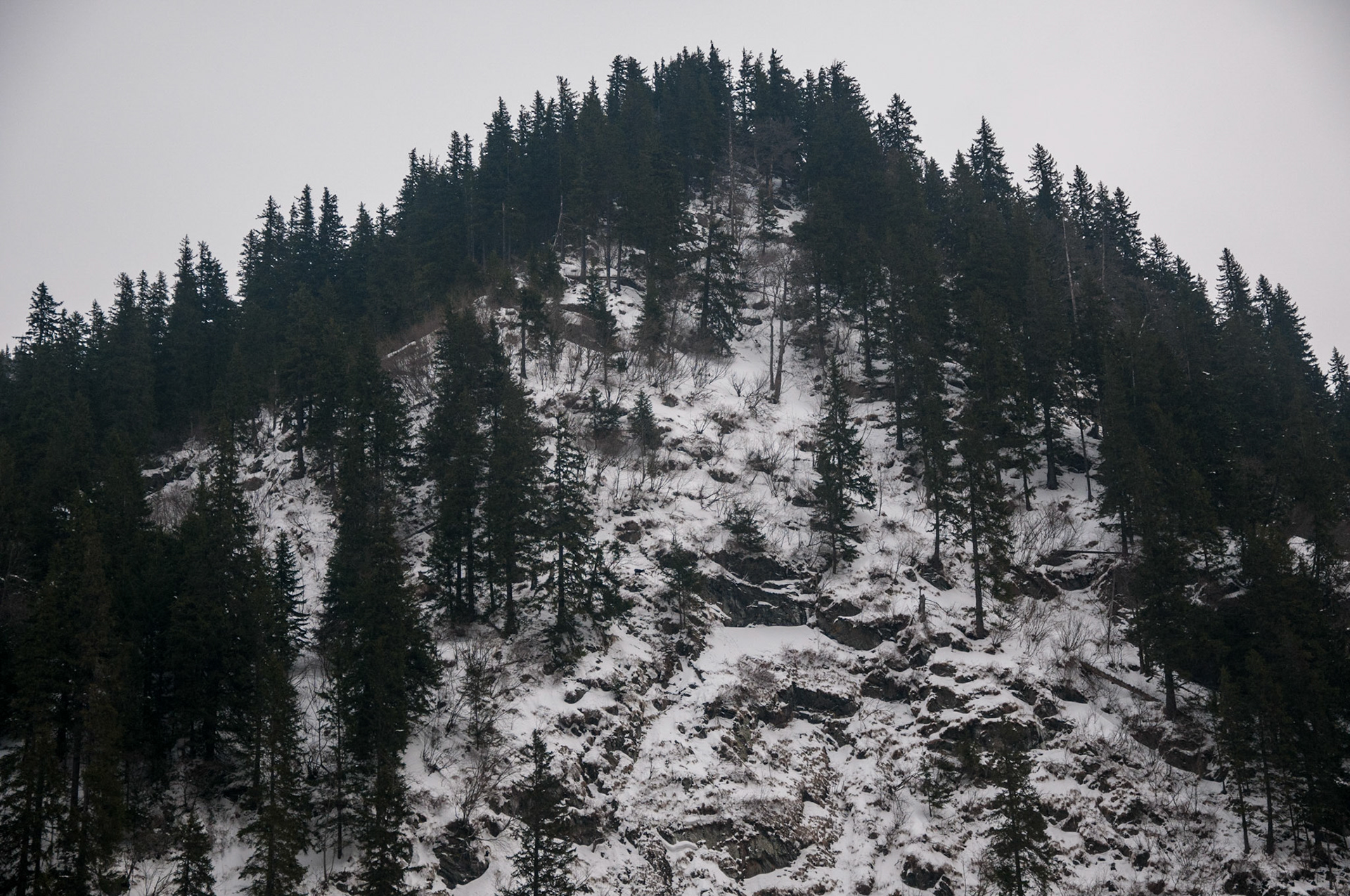 Transfăgărășan