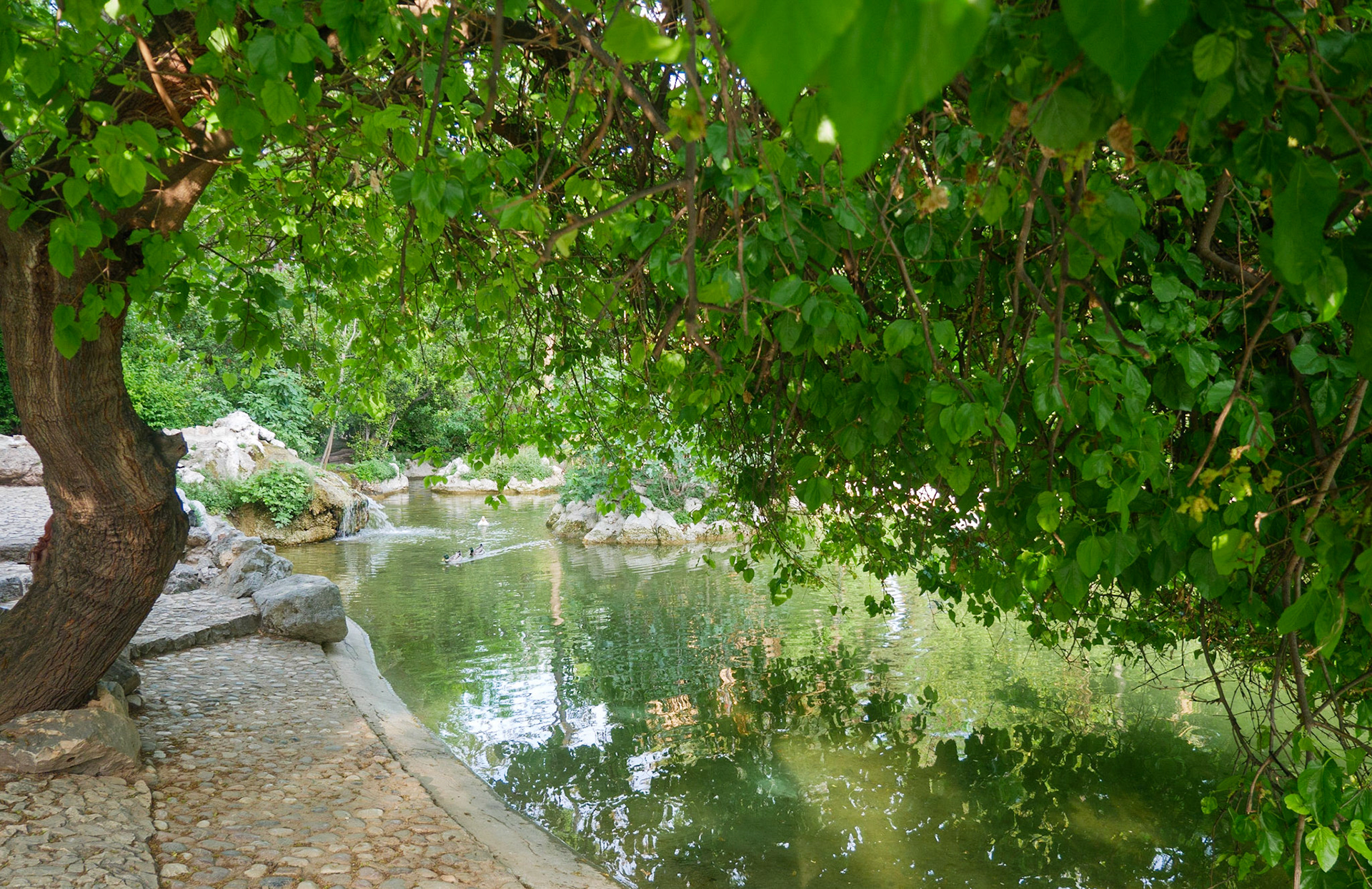 Grădina Națională. Atena
