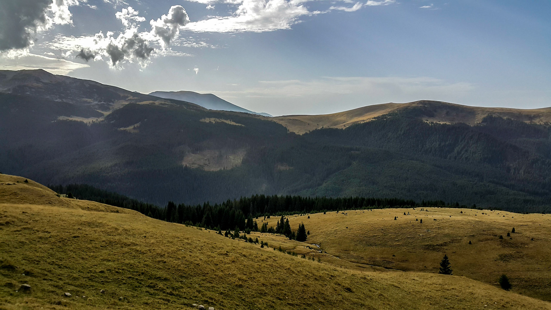 Transalpina