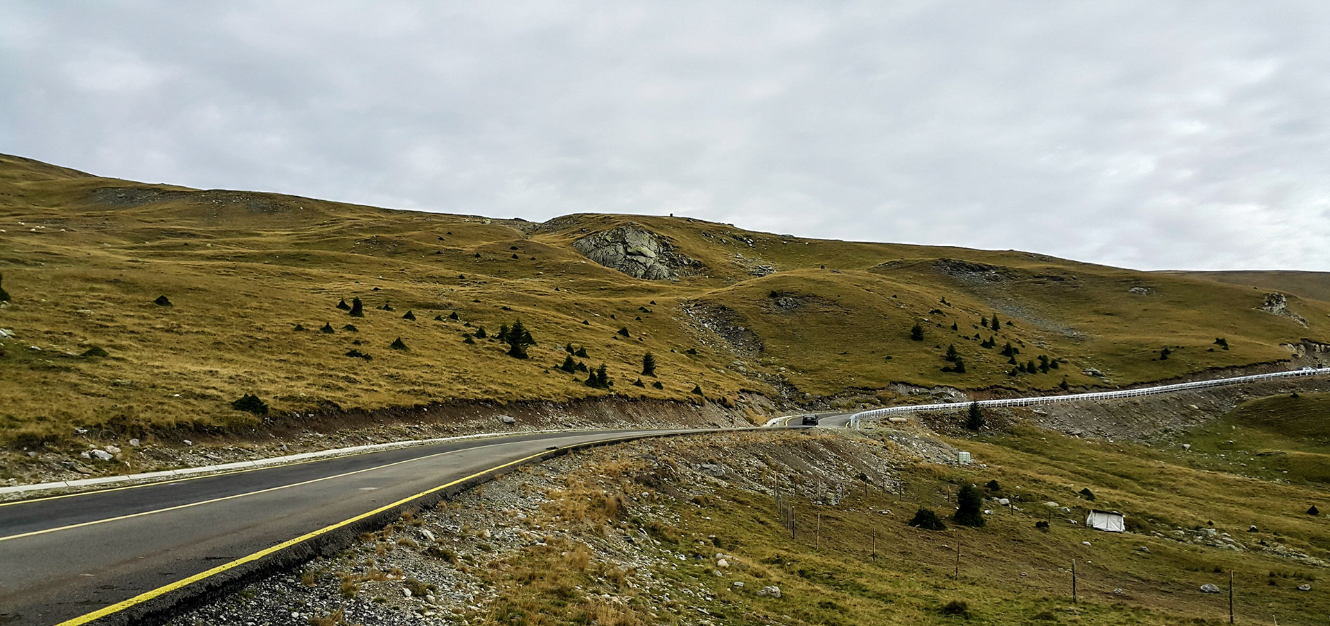 Transalpina