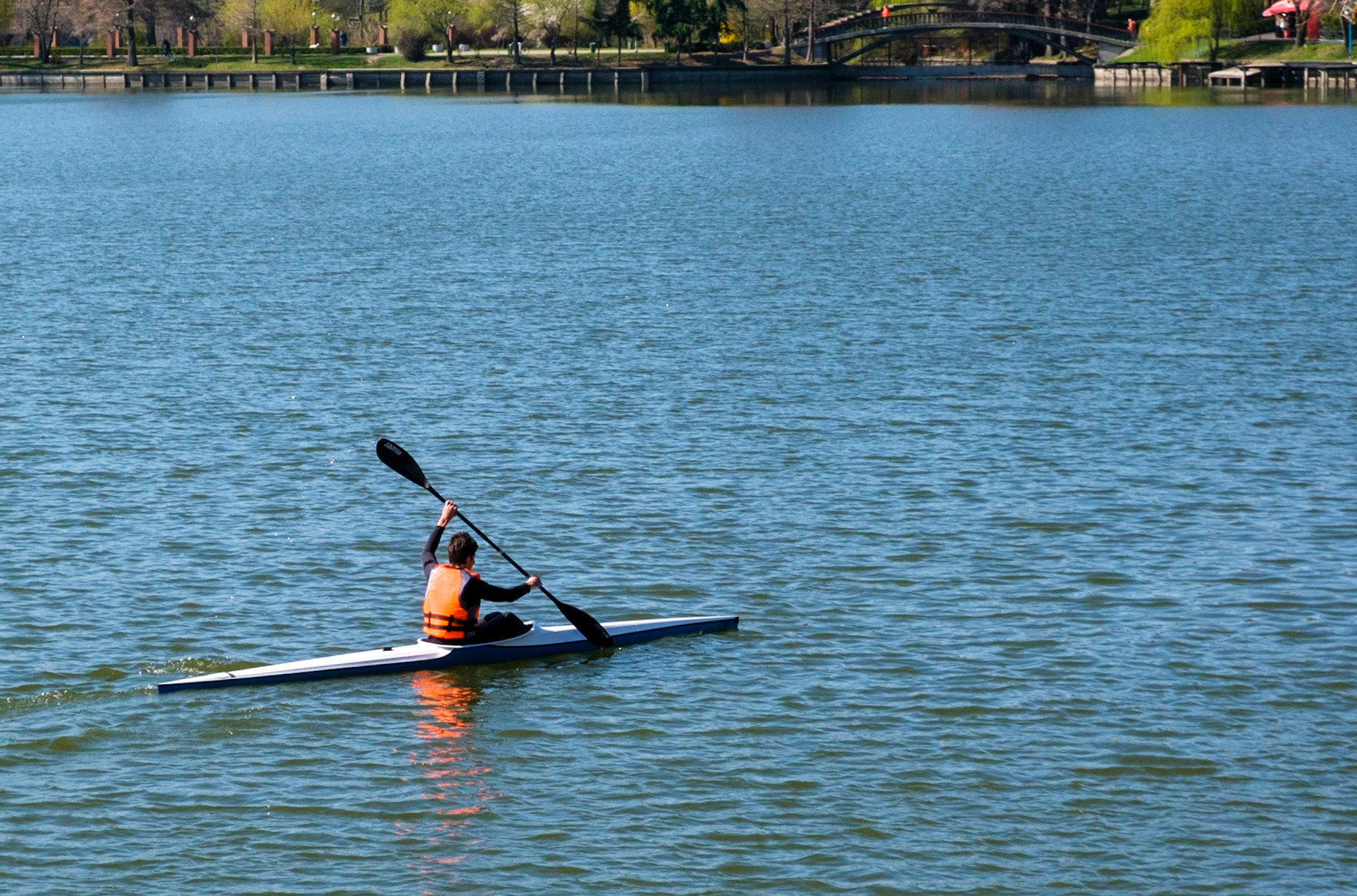 Parcul Herăstrău. București