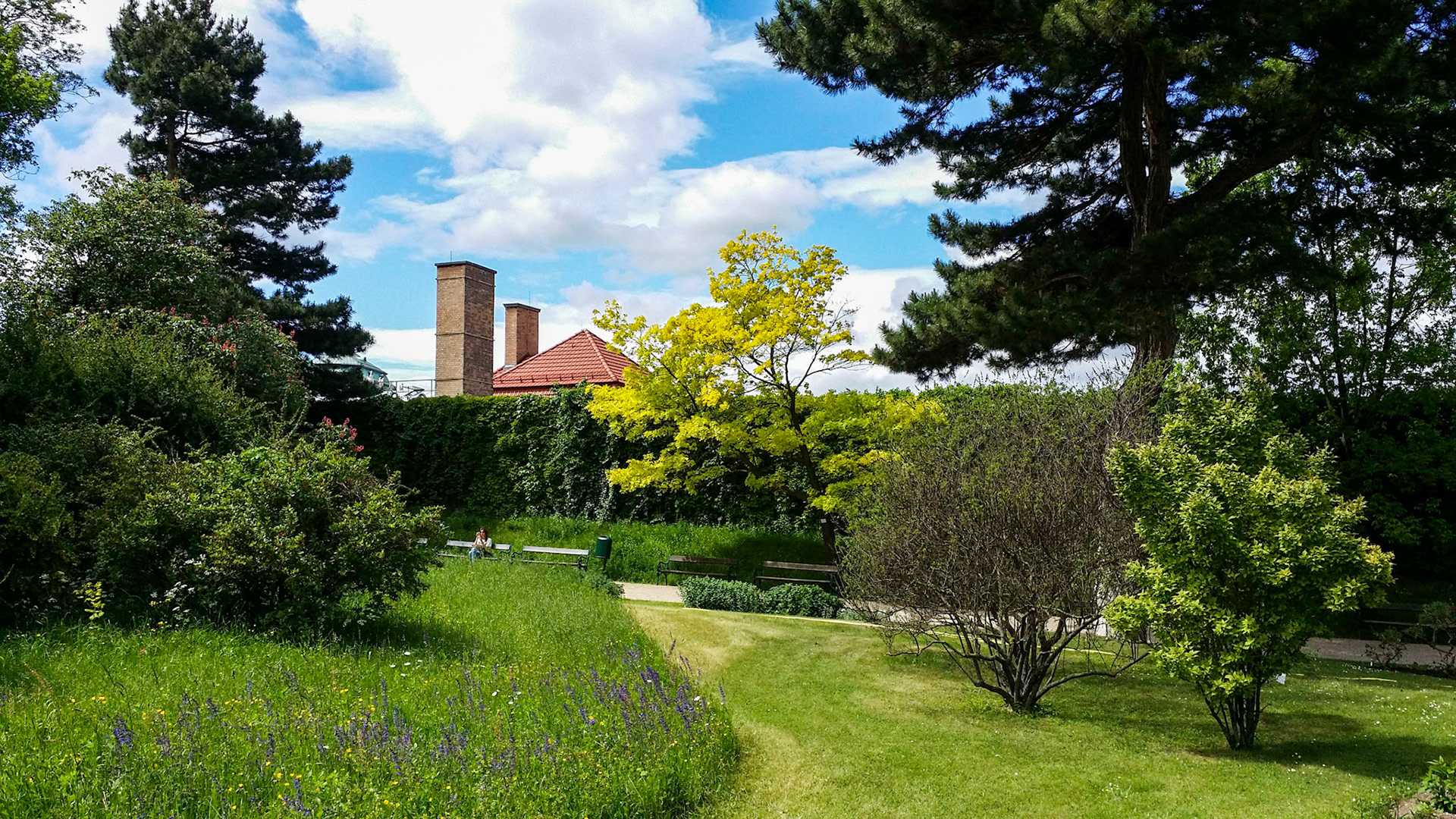 Belvedere. Grădina botanică. Viena
