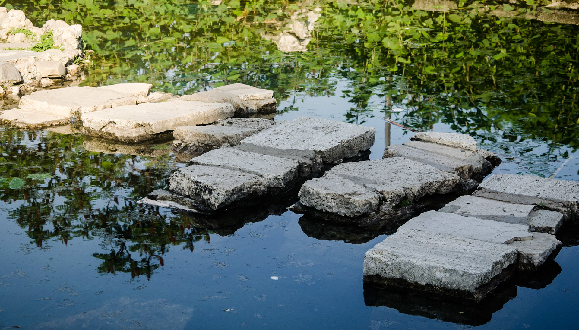 Parcul Herăstrău. București