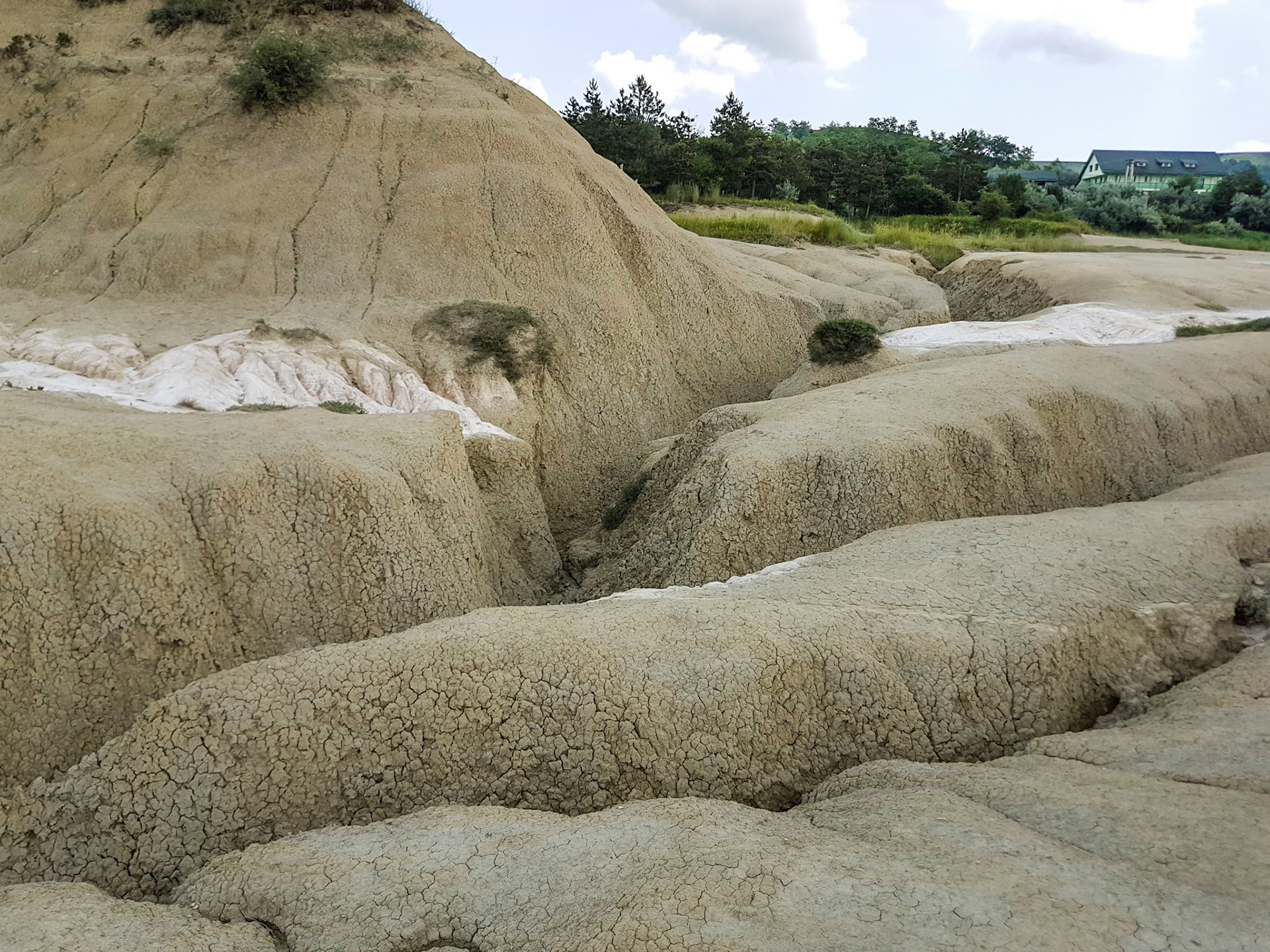 Vulcanii Noroiosi. Scortoasa