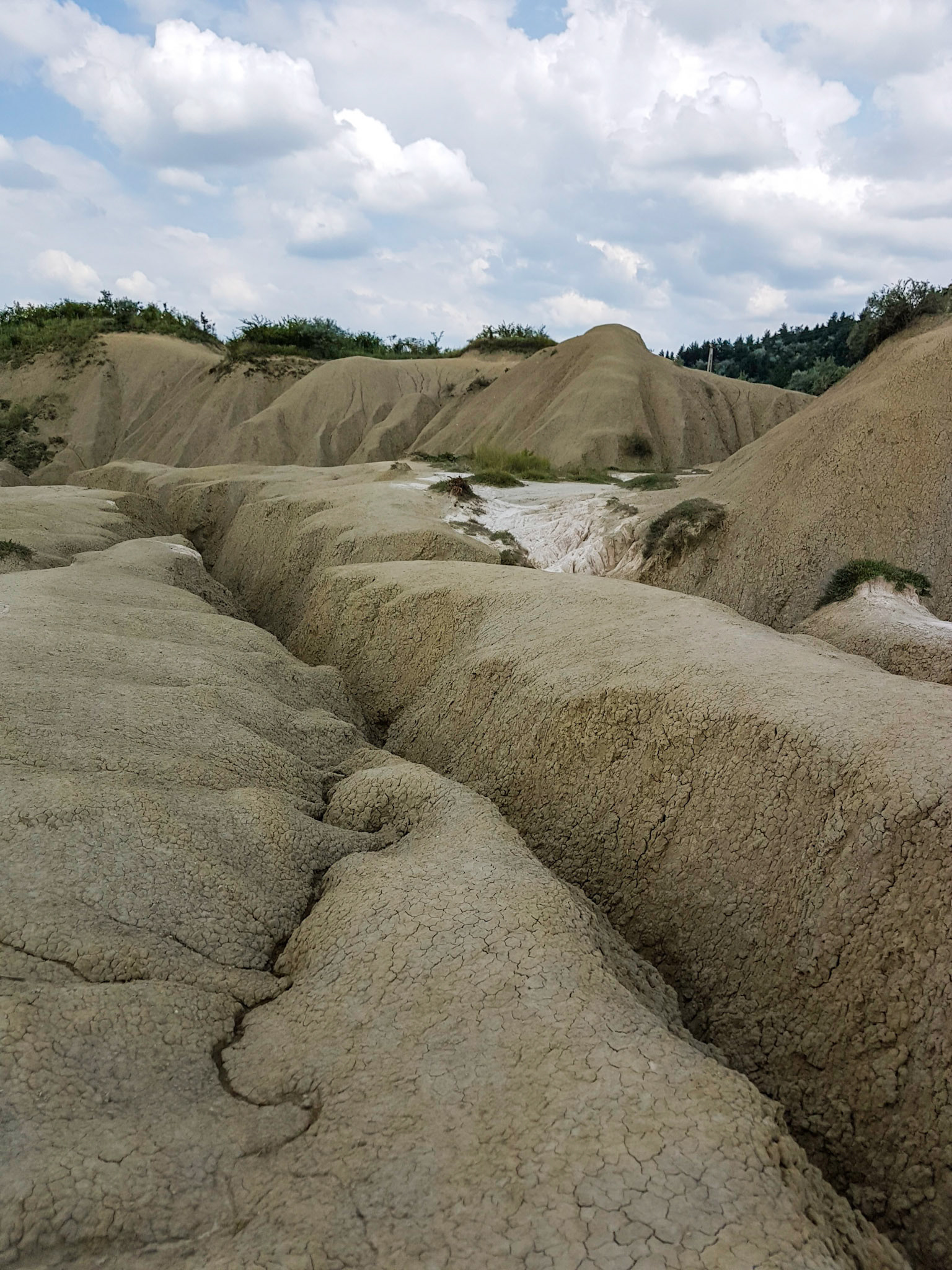 Vulcanii Noroiosi. Scortoasa