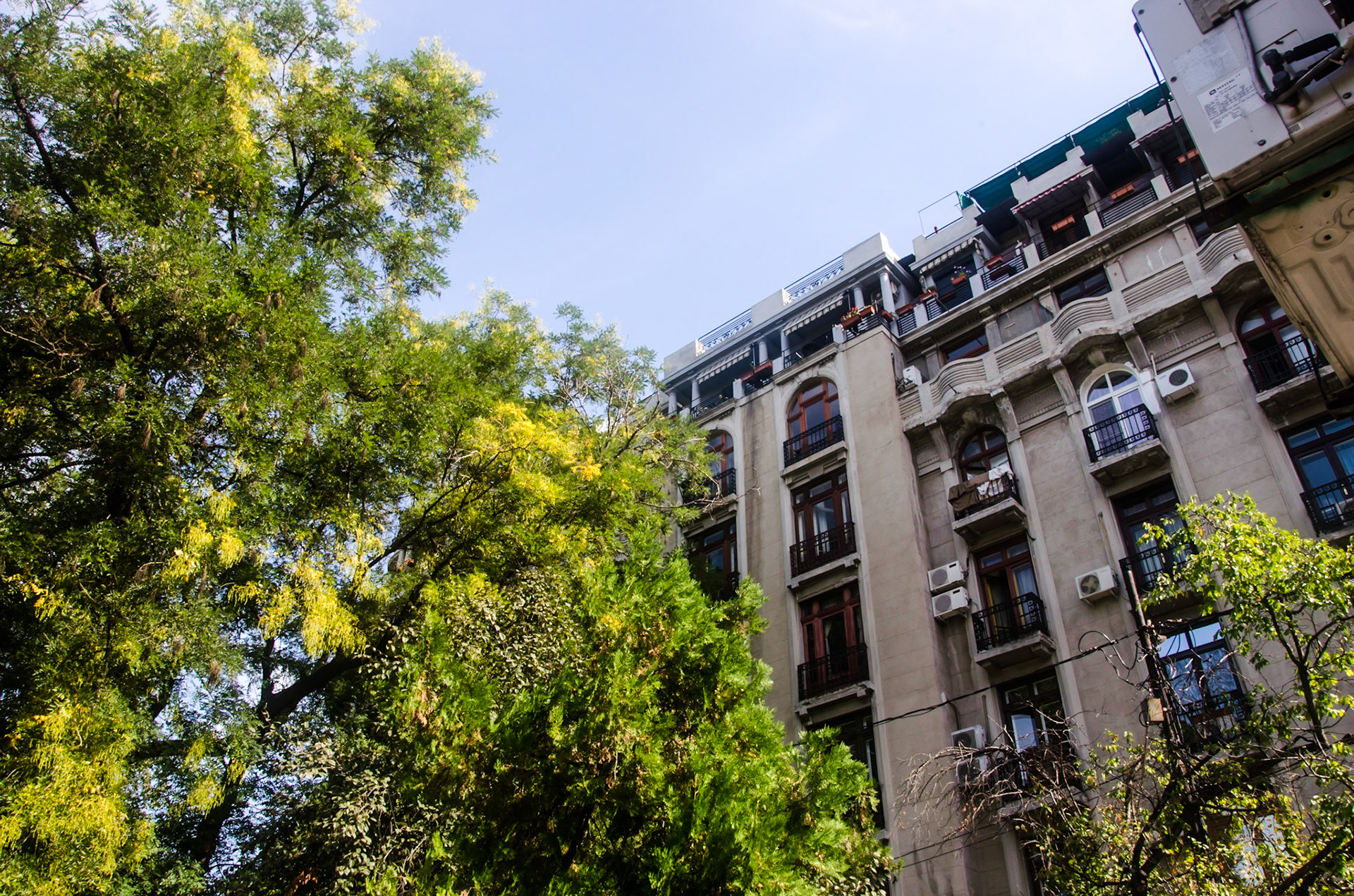 Parcul Cișmigiu. București