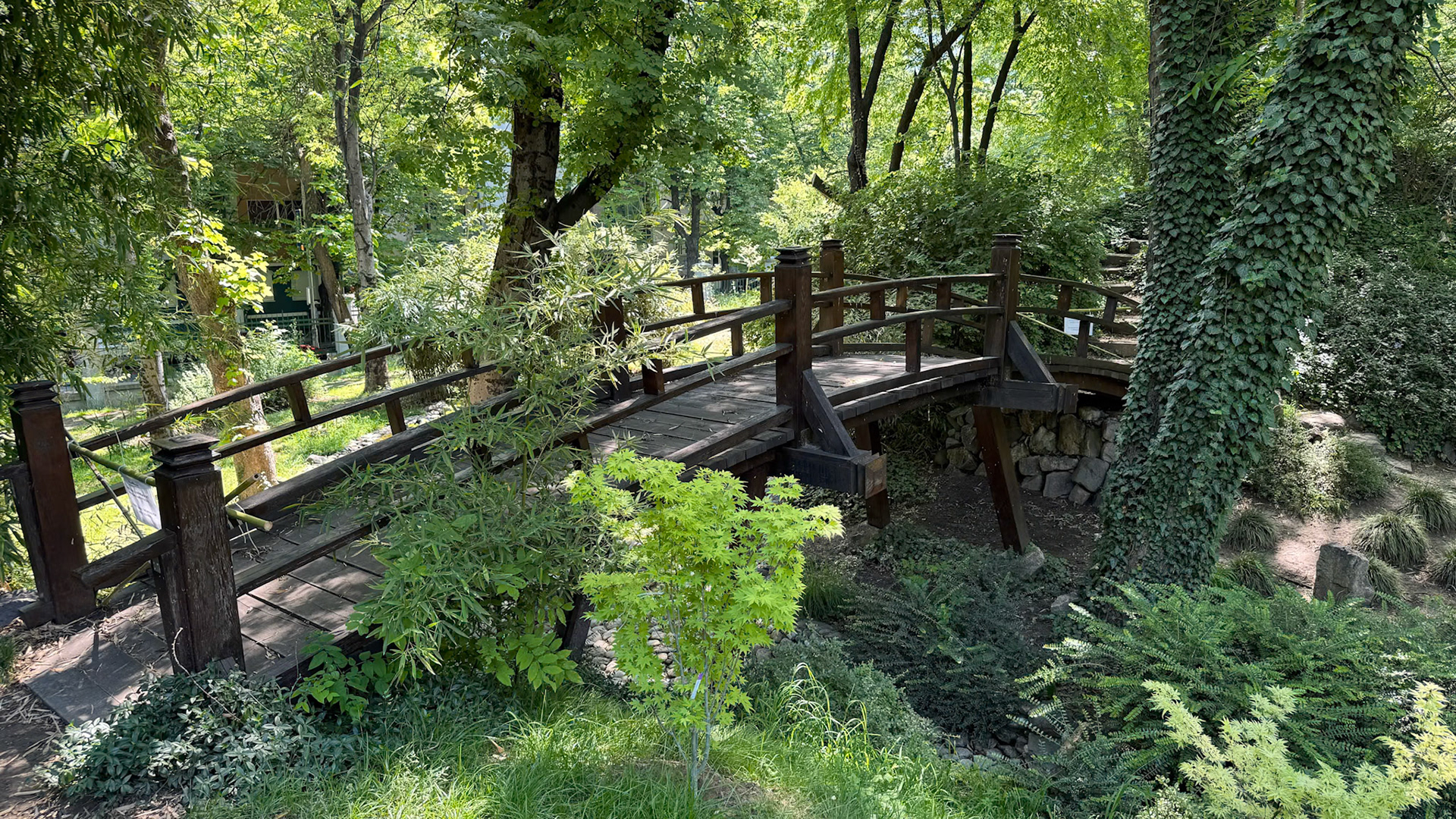 Grădina Botanică Jevremovac. Belgrad
