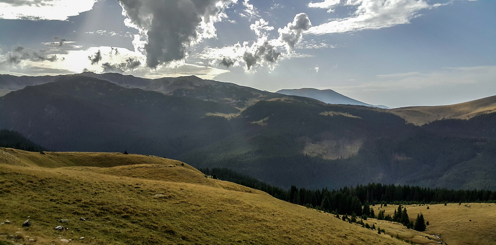 Transalpina