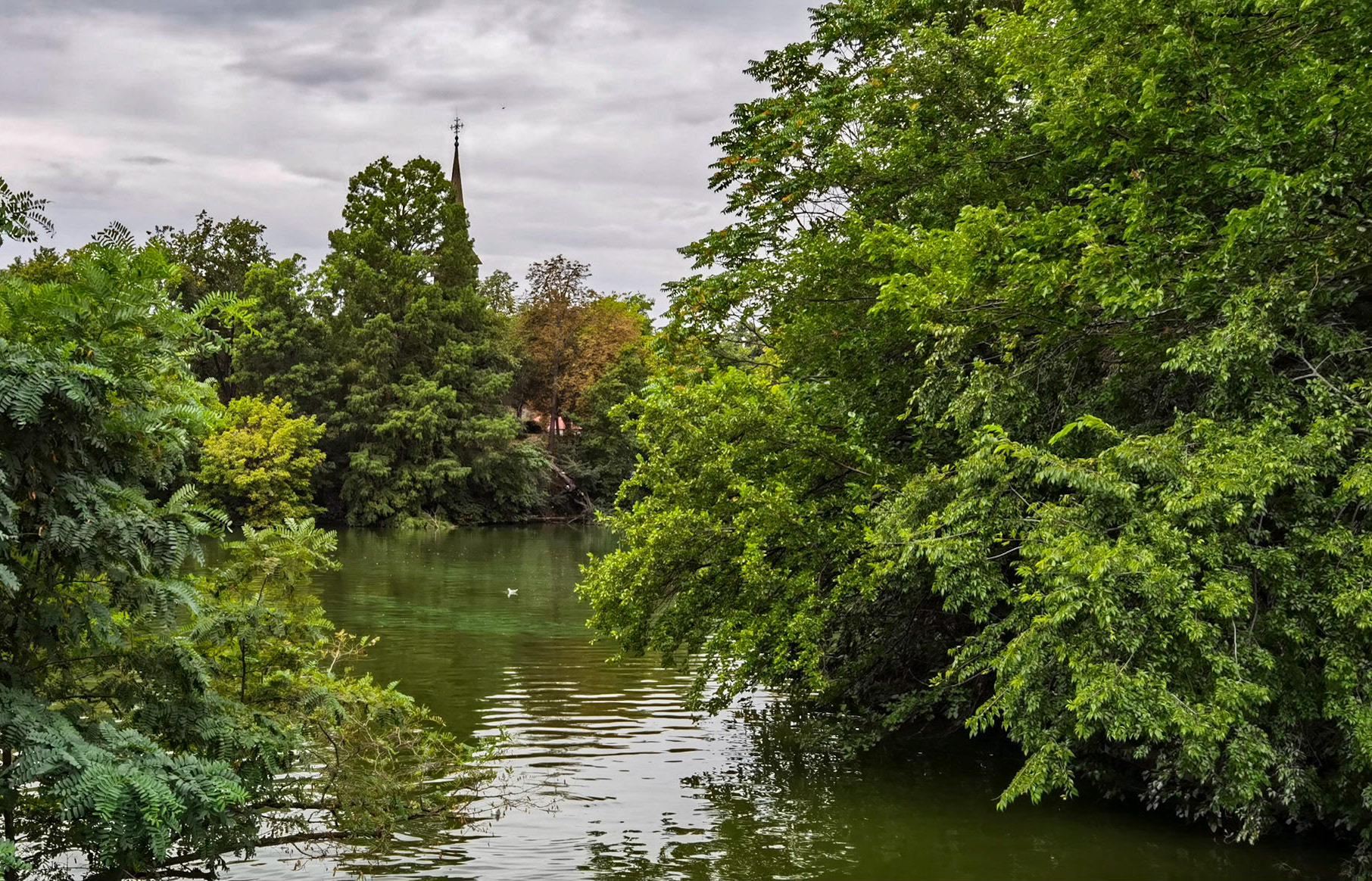 Parcul Herăstrău. București