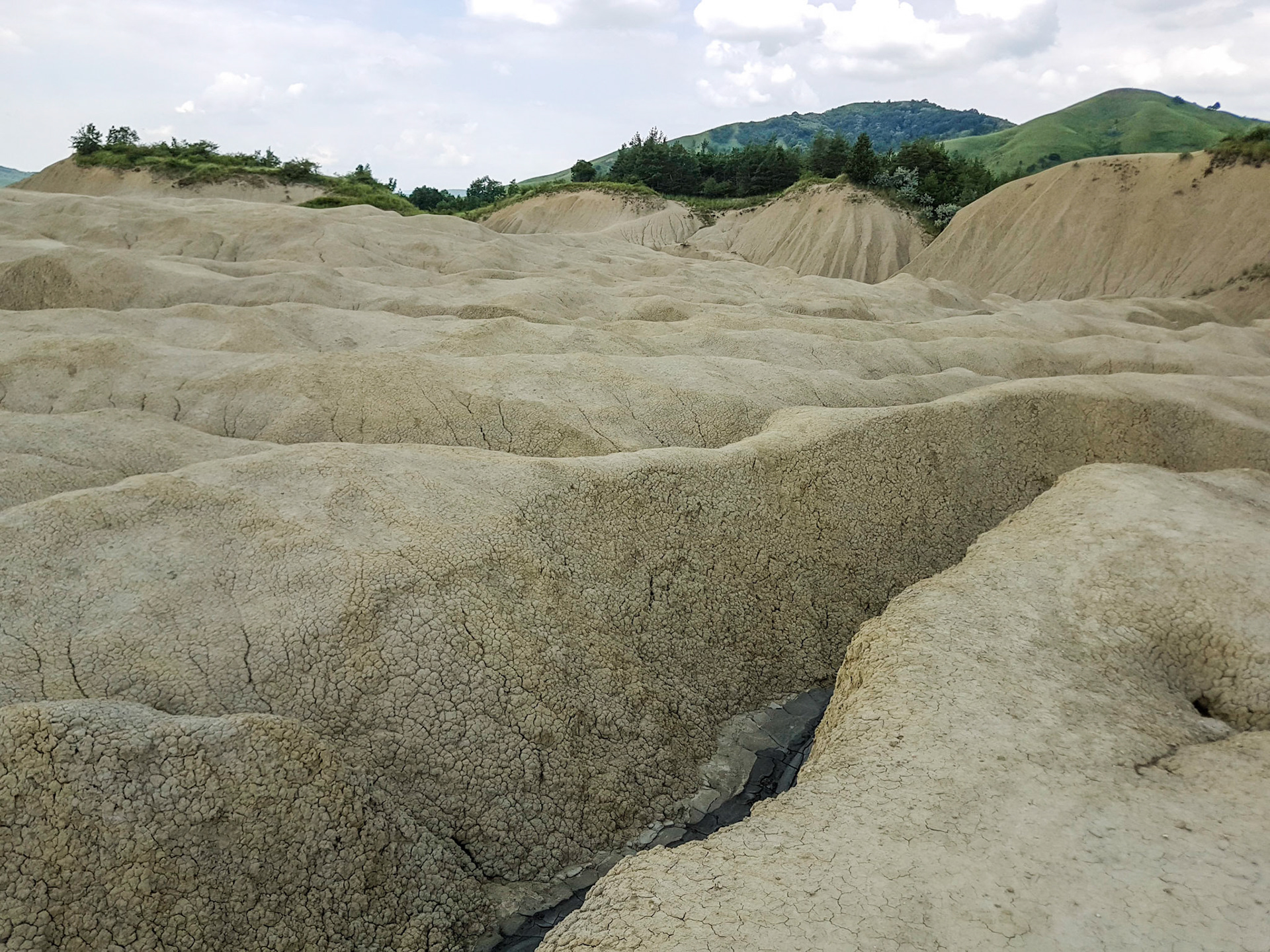 Vulcanii Noroiosi. Scortoasa