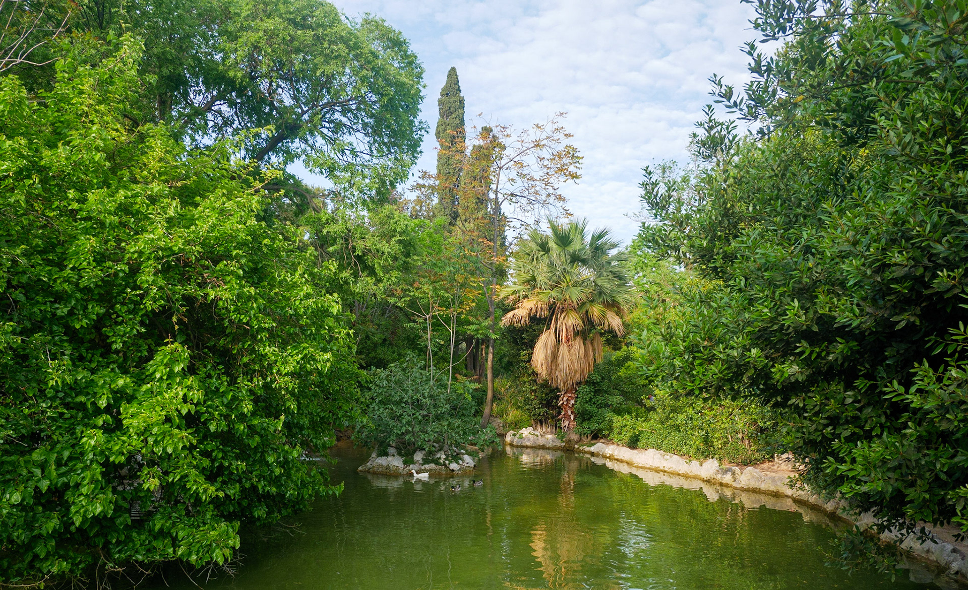 Grădina Națională. Atena