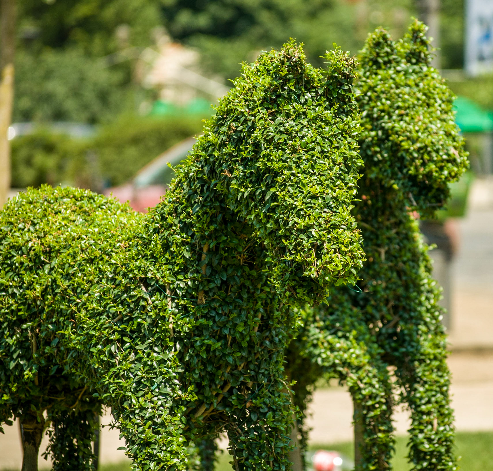 Centrul Vechi. București