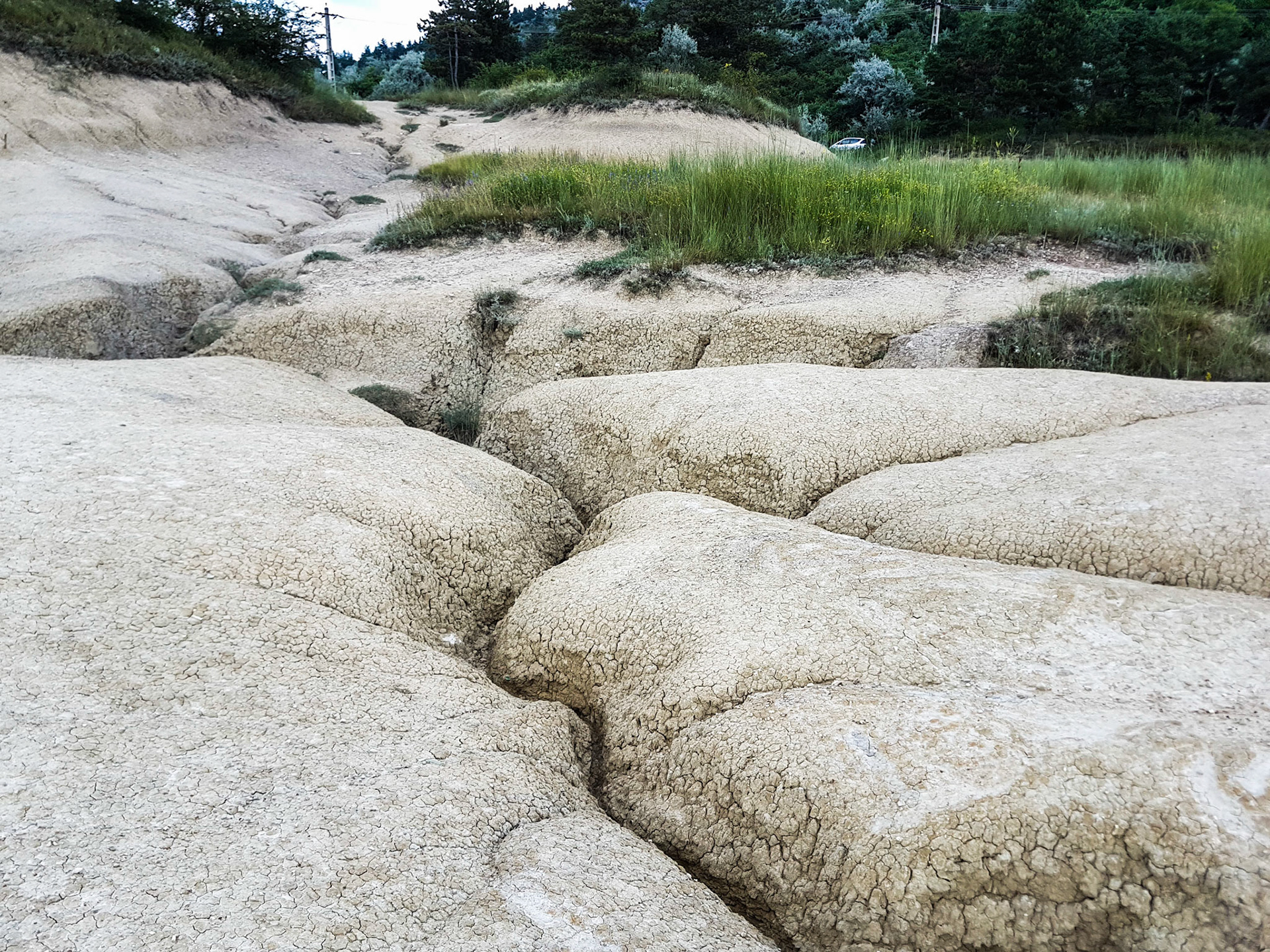 Vulcanii Noroiosi. Scortoasa
