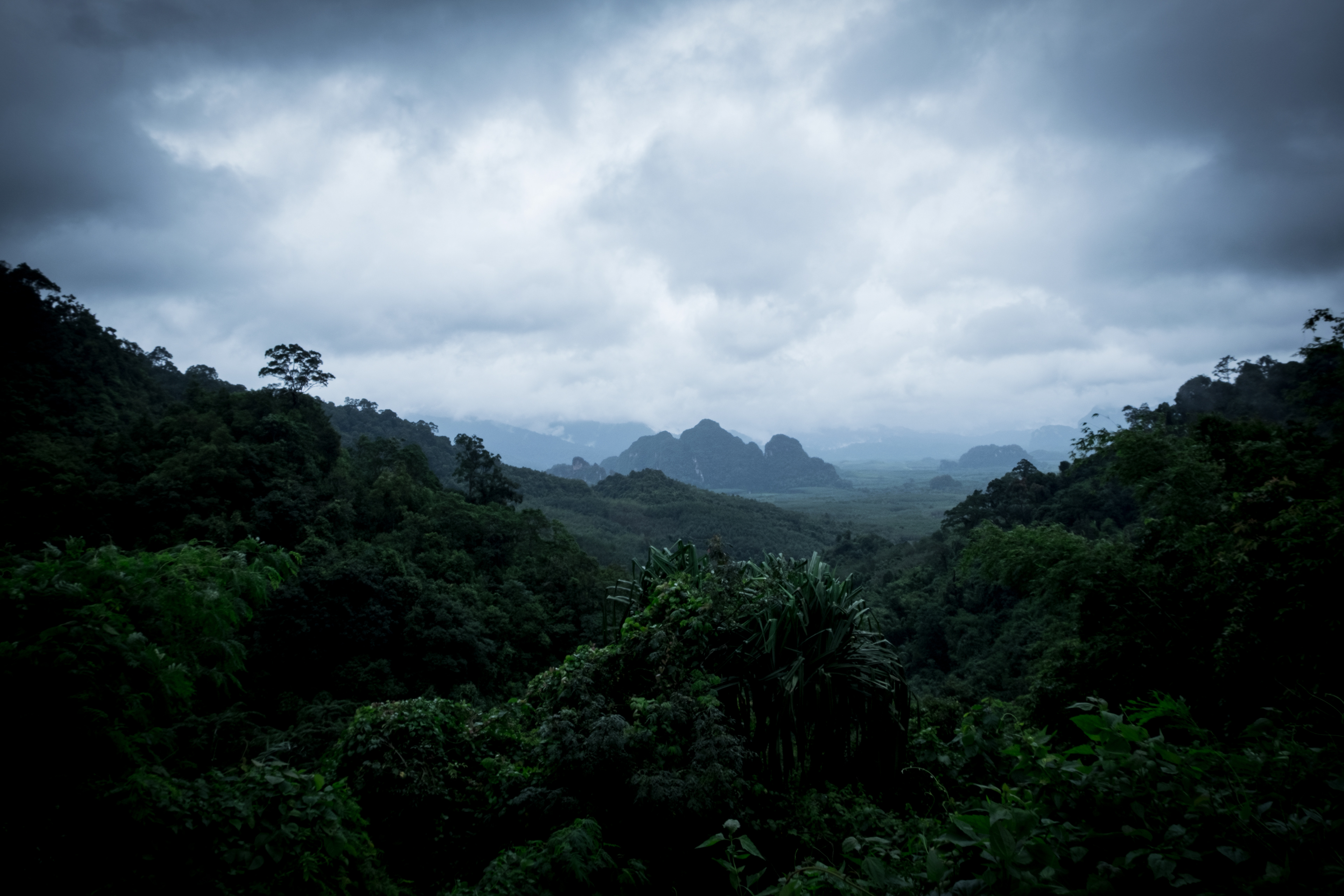 Khao Sok national park - Khao Sok, Thaïlande 2018