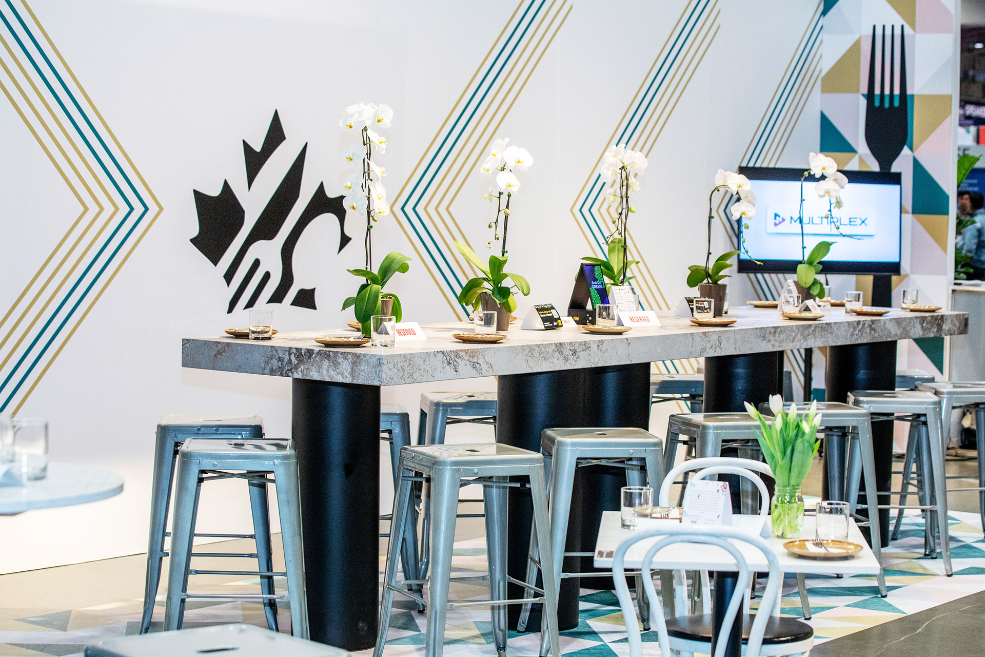Five white lotus flowers evenly arranged on an island bar, and a white wall with chevrons in the background.