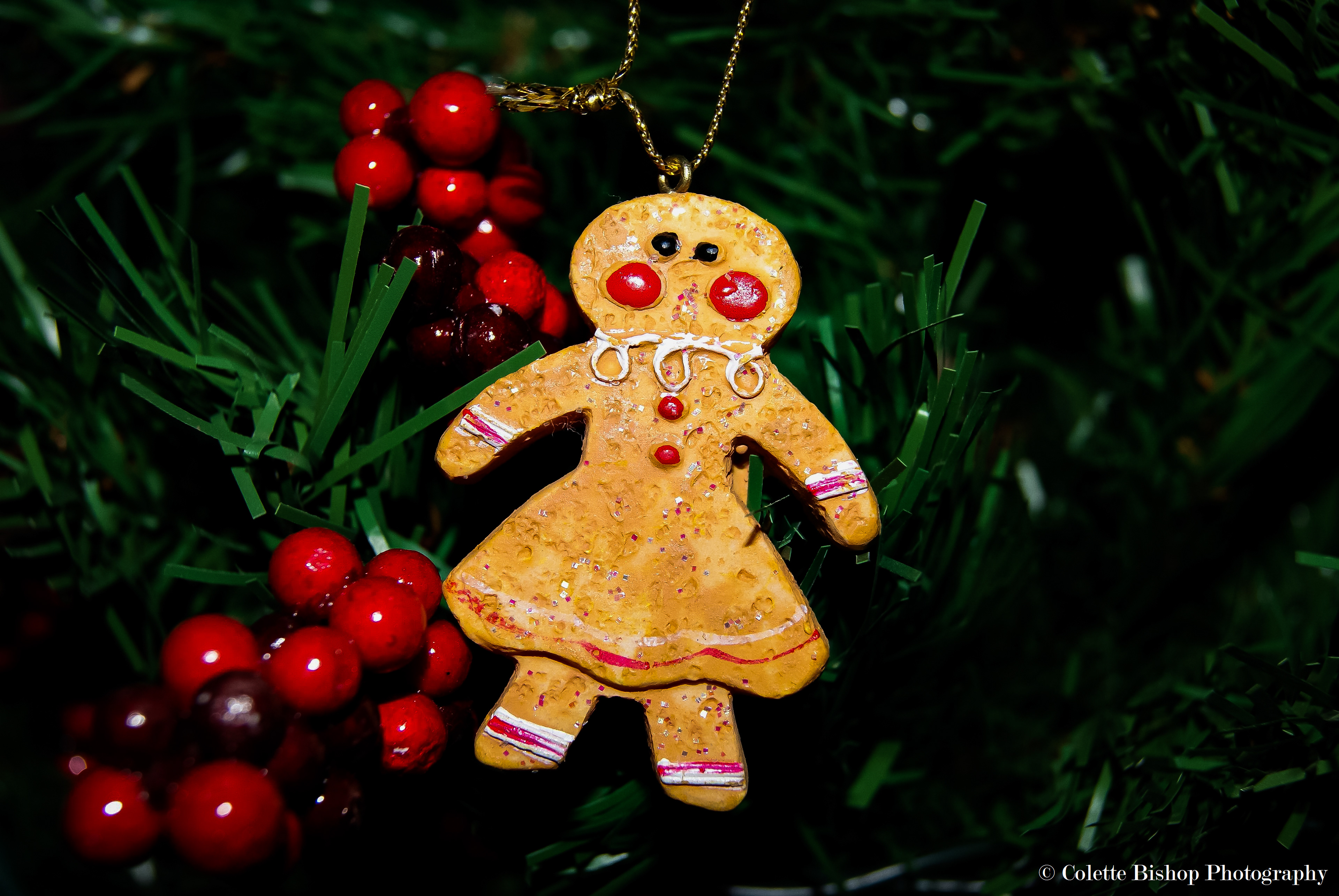 "Gingerbread Woman"