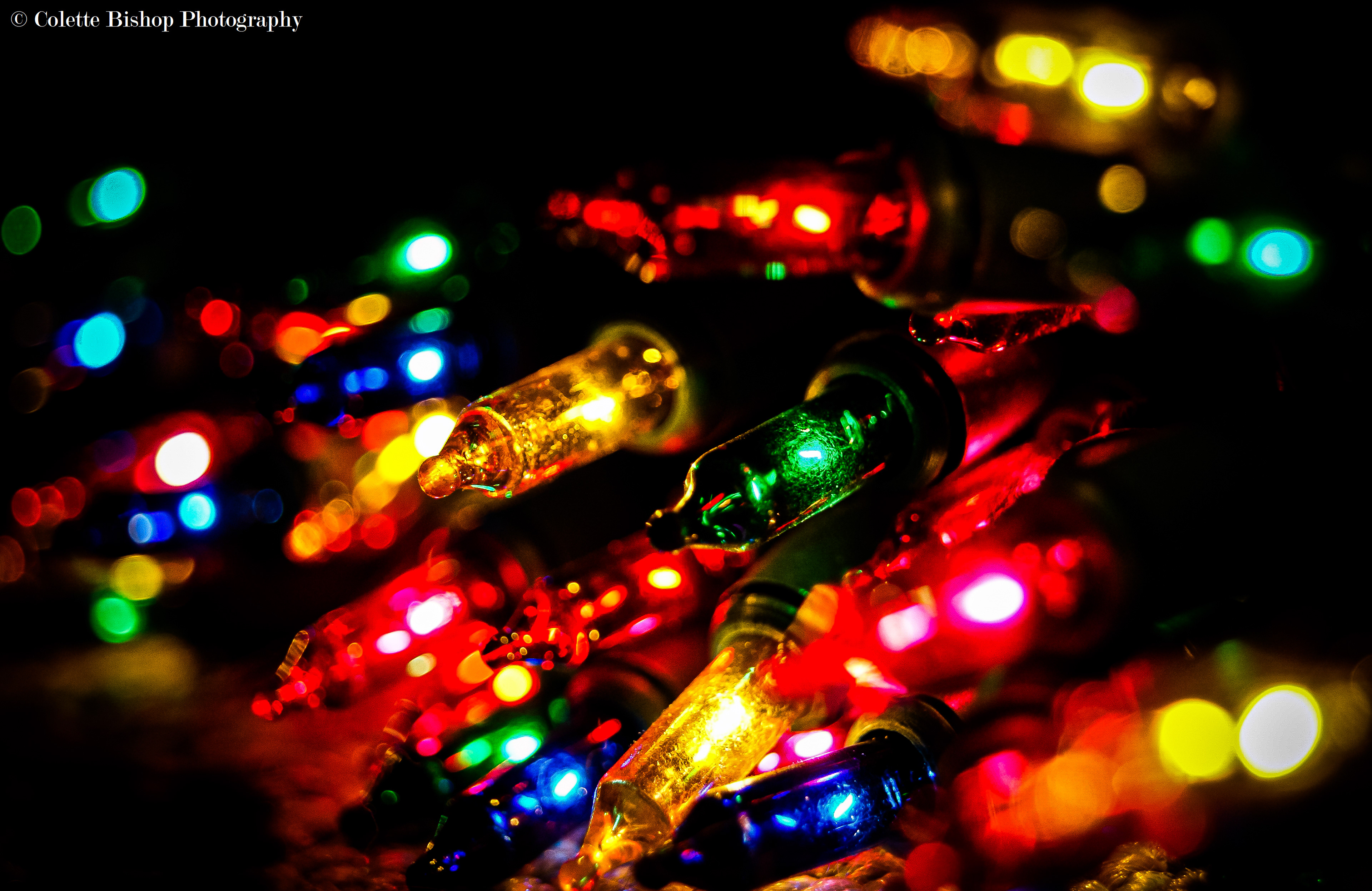 "Christmas Lights"