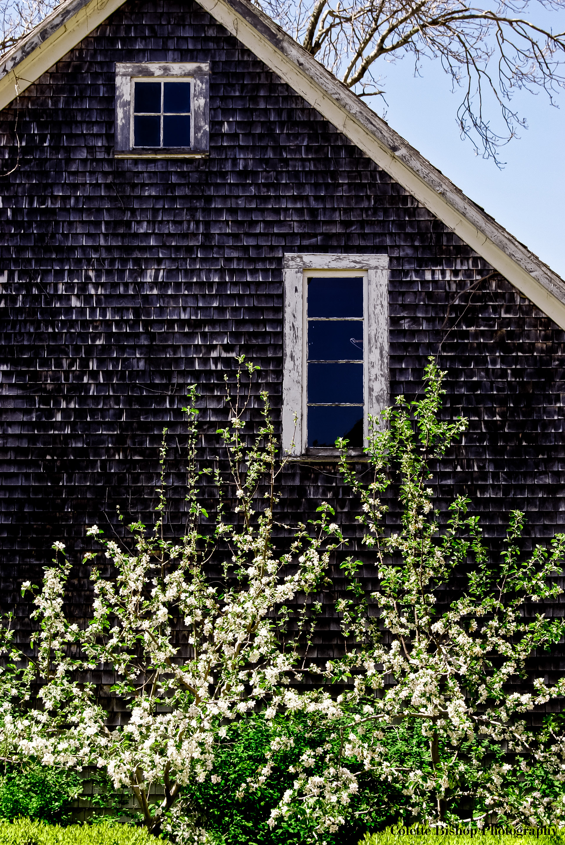 "A Warm Welcome Home"