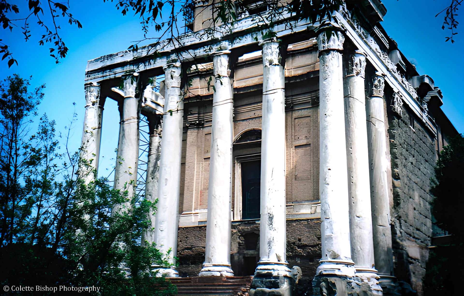 "Temple of Antoninus and Faustina" 2004