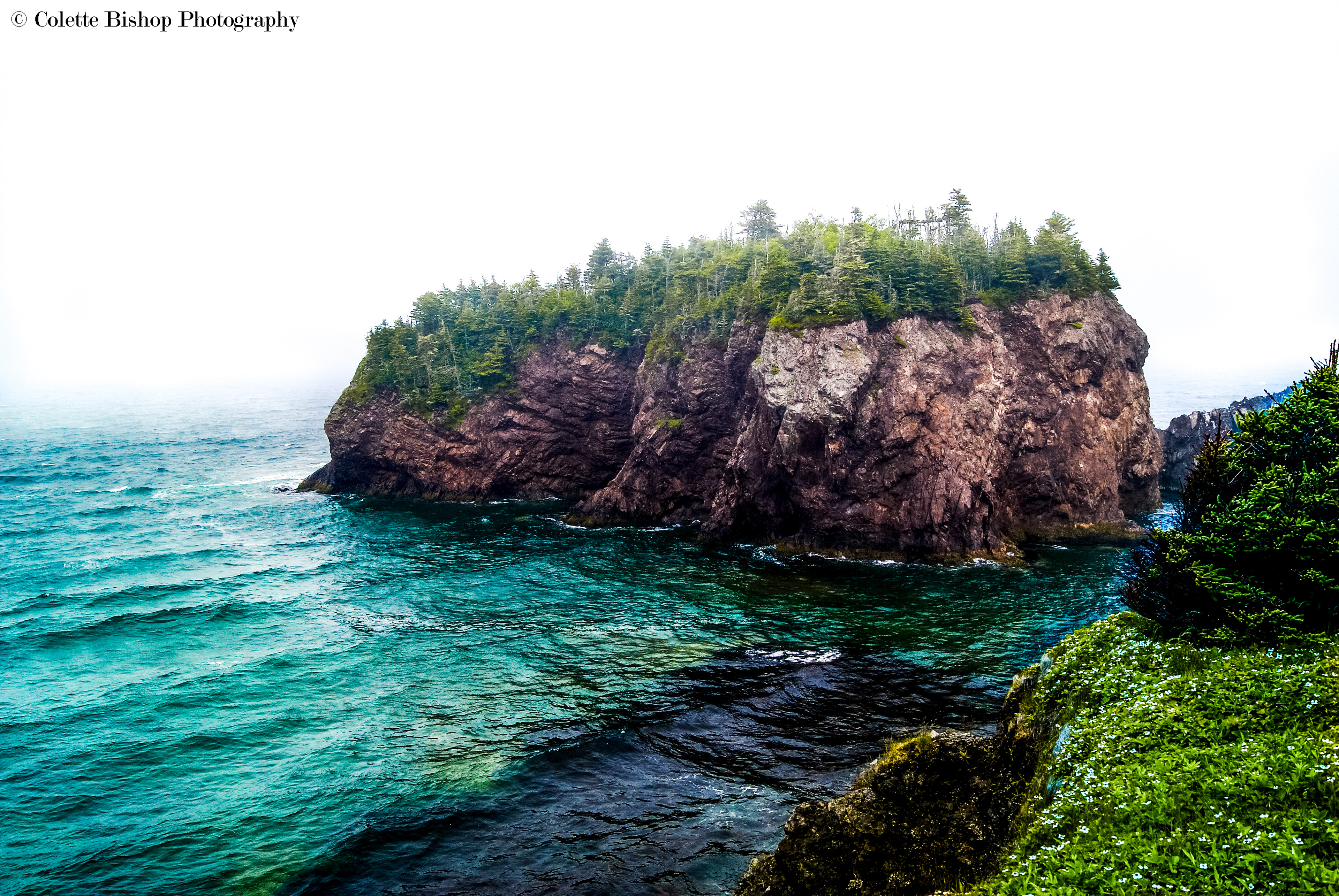 "A Chance Encounter"