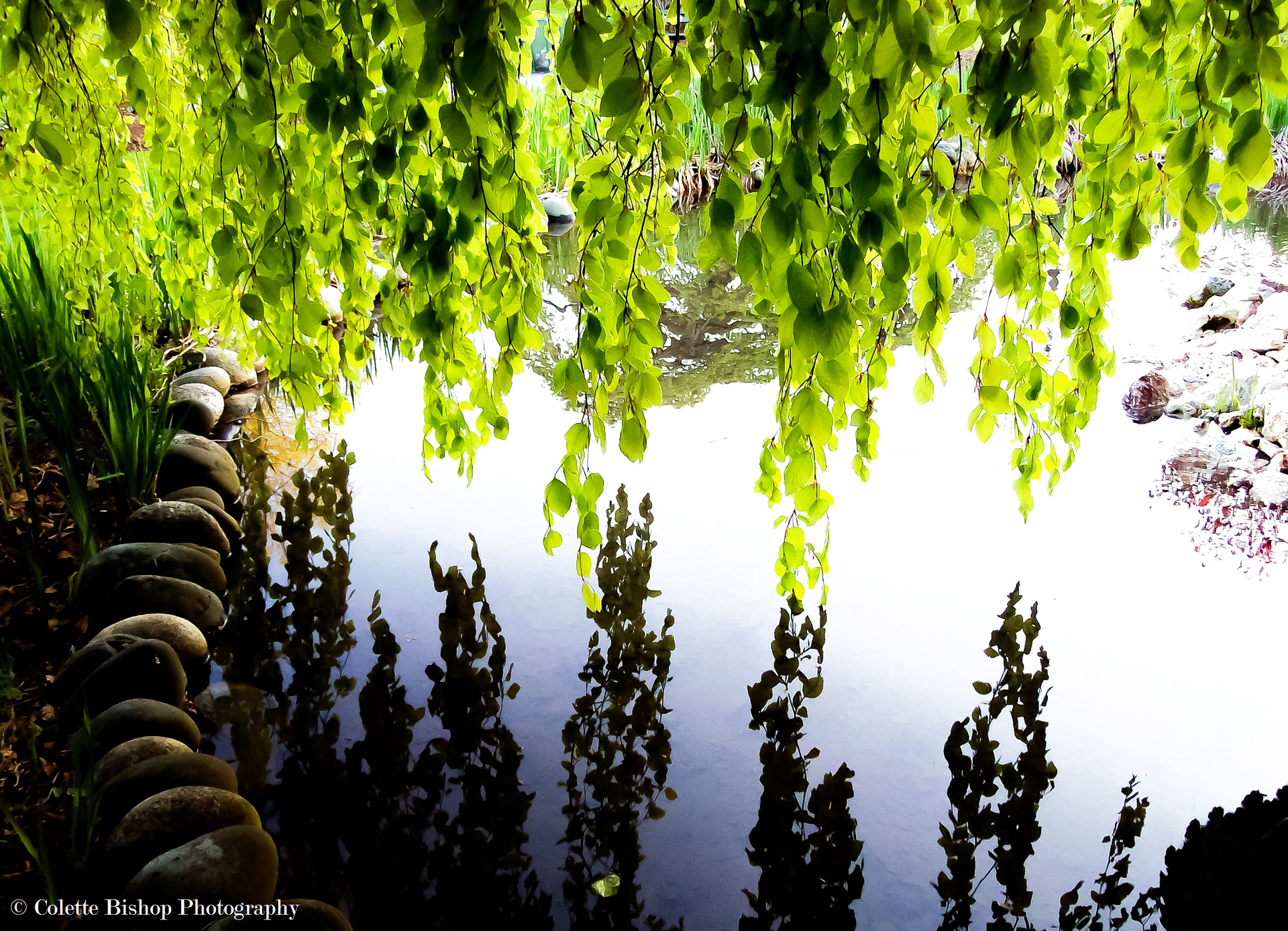 "Reflecting With You"