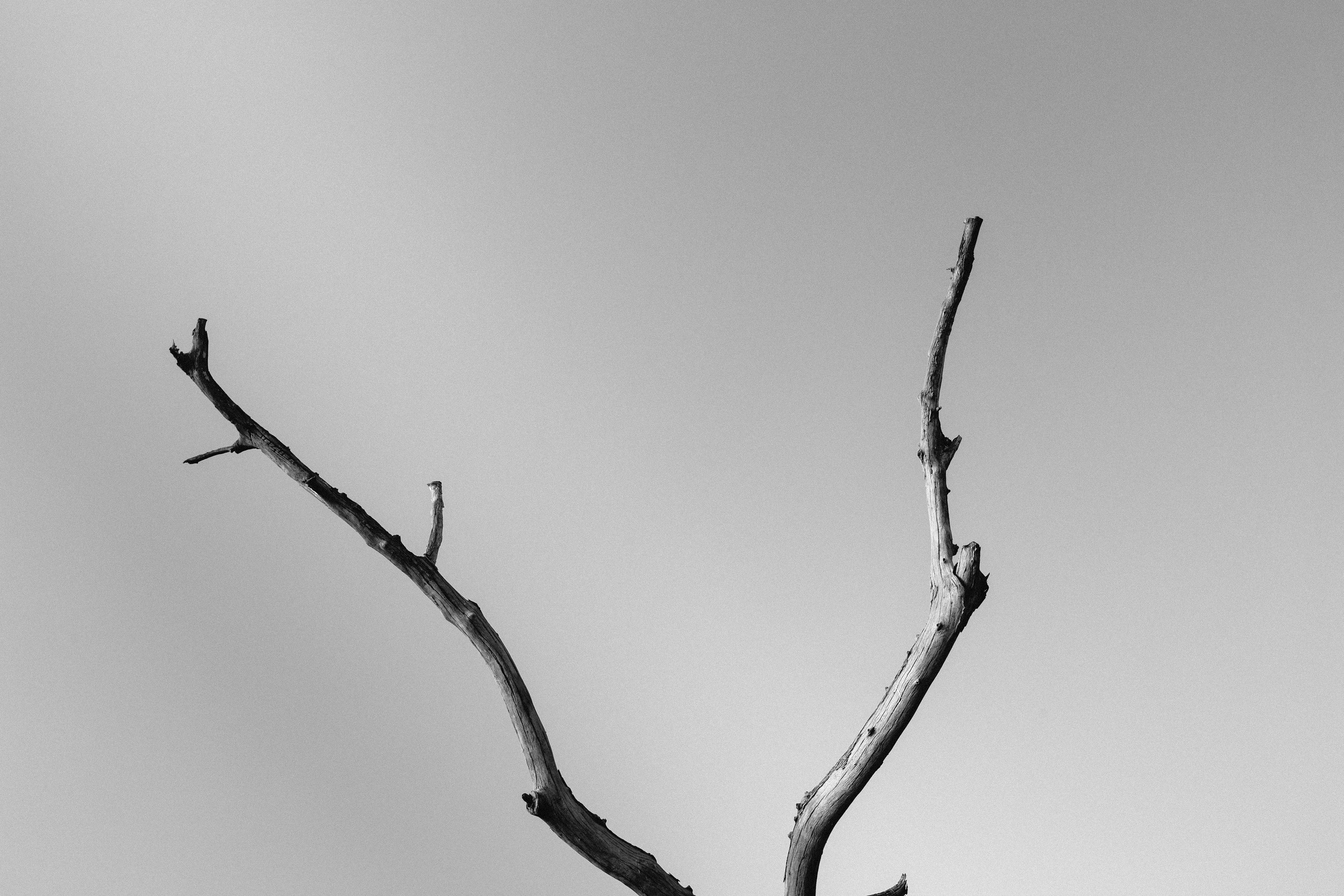 Lake Volta // 003