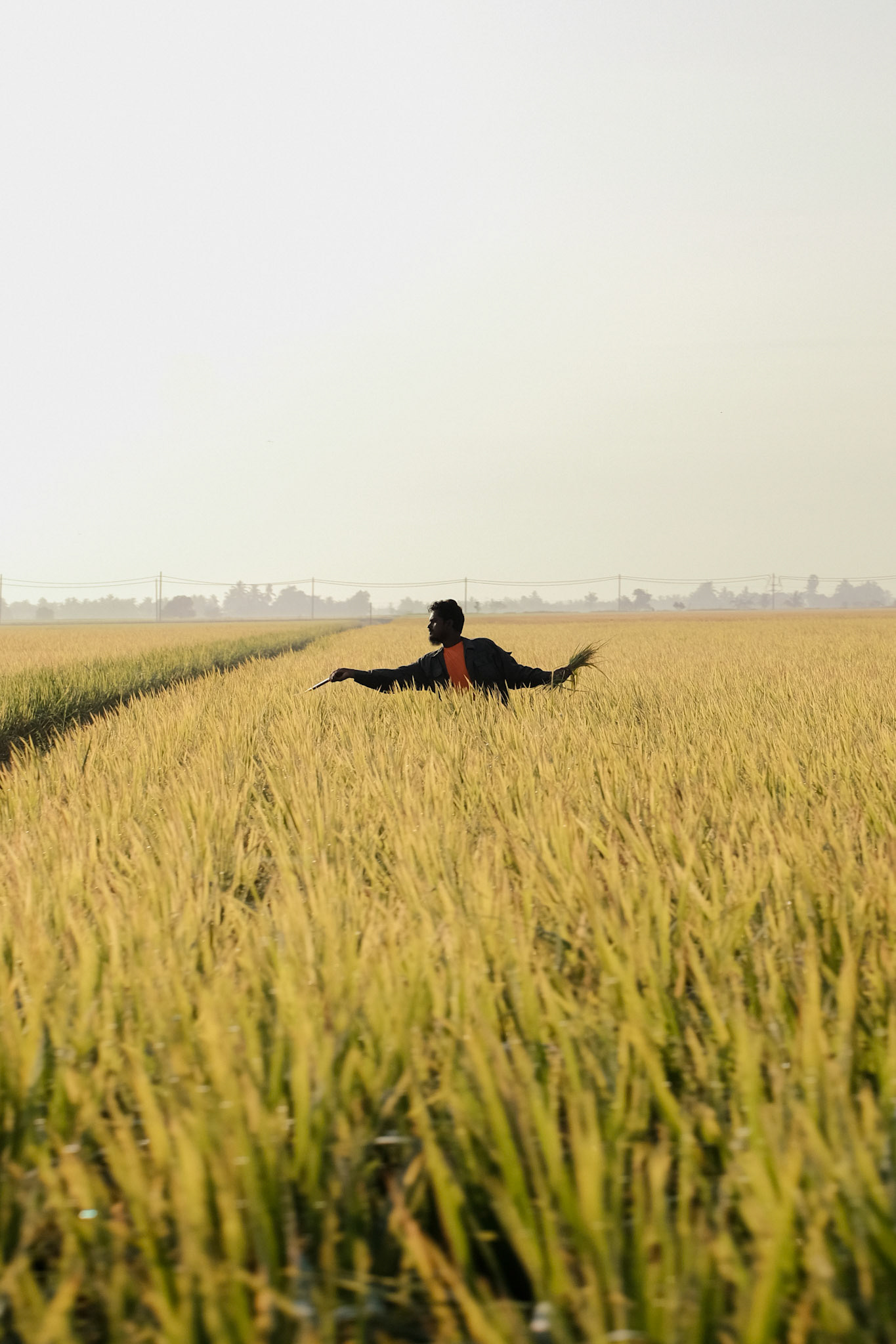 Dancing in the middle of the paddy field