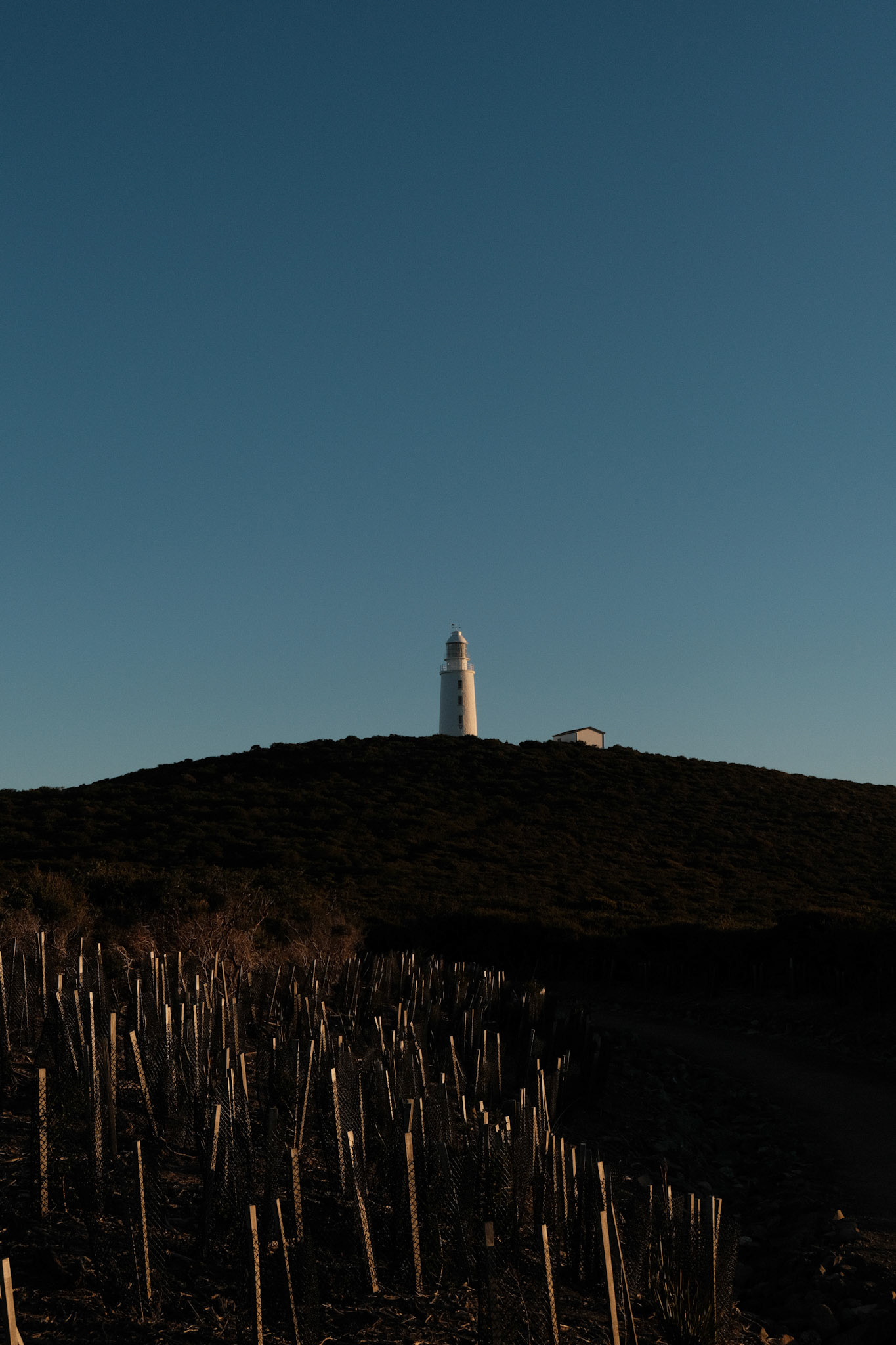 Lighthouse