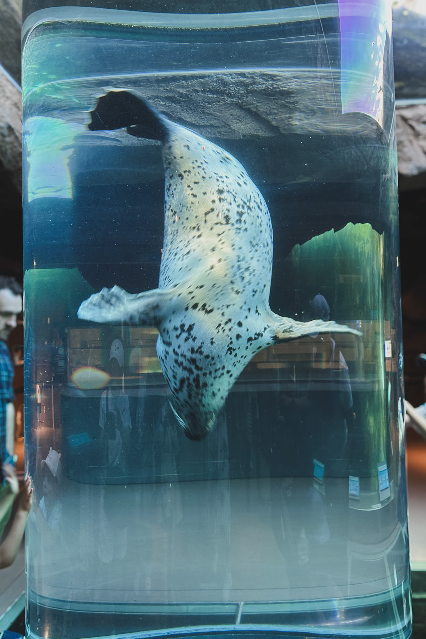 Asahiyama Zoo