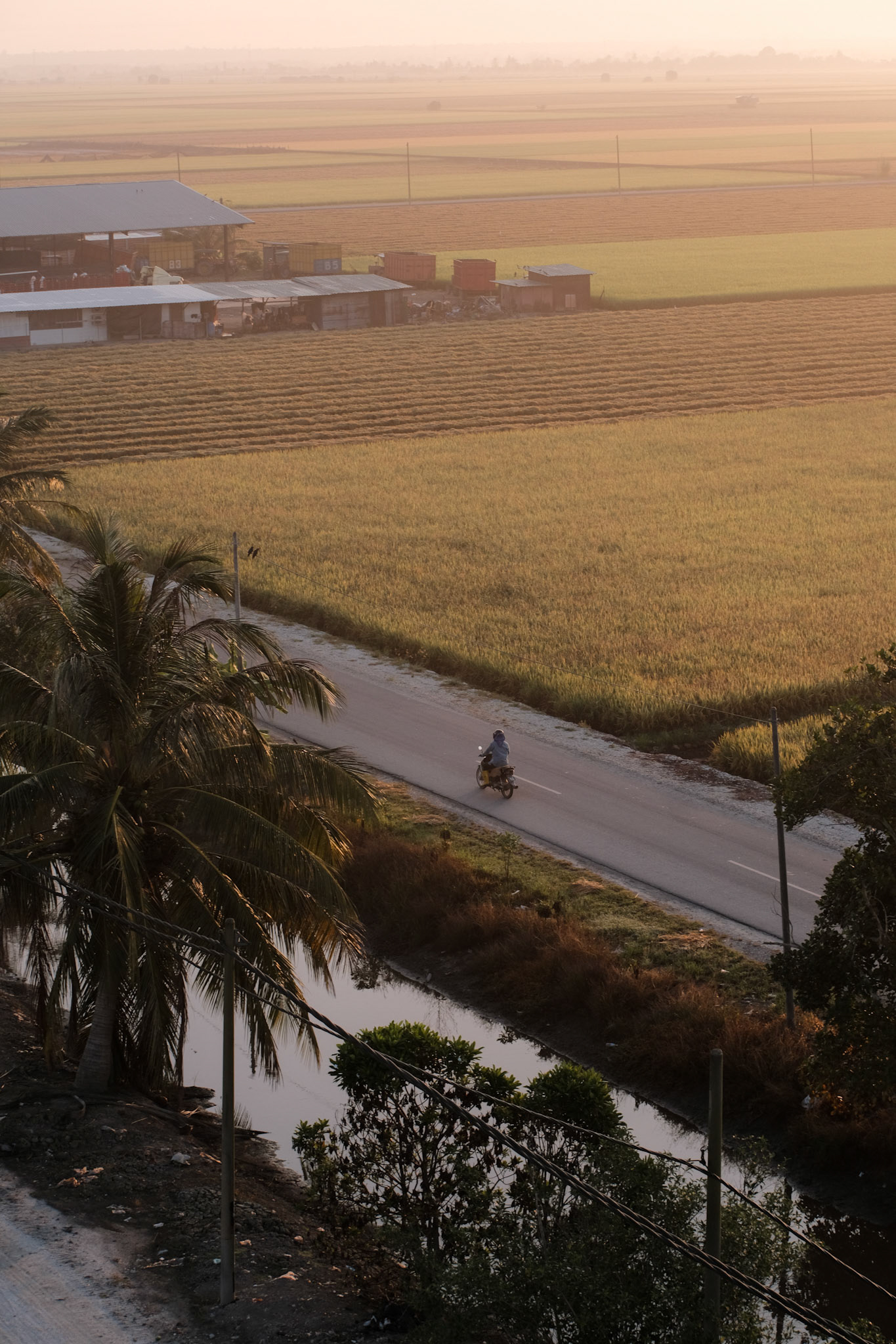 Locals on the way to work