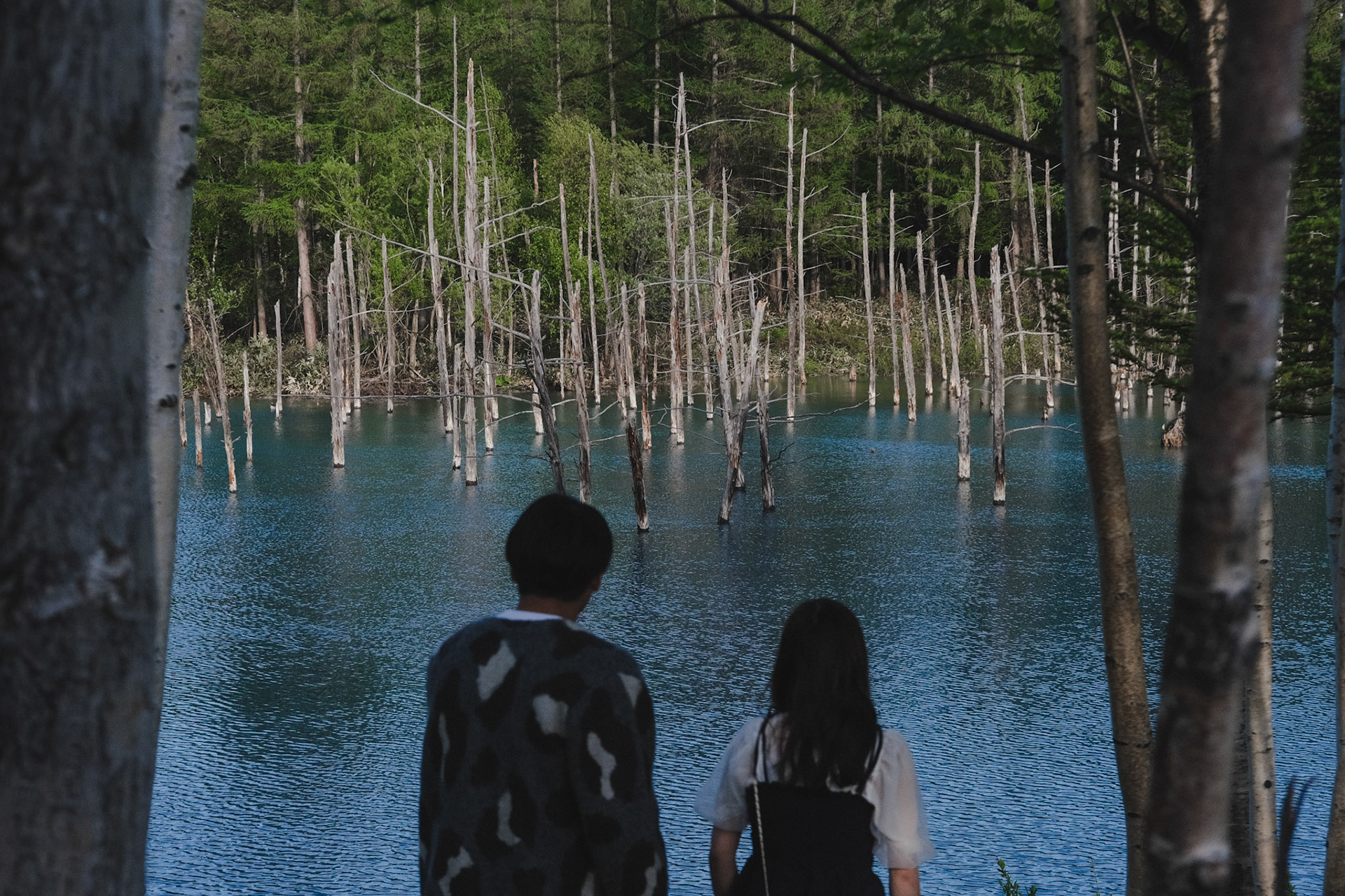 Shirogane Blue Pond