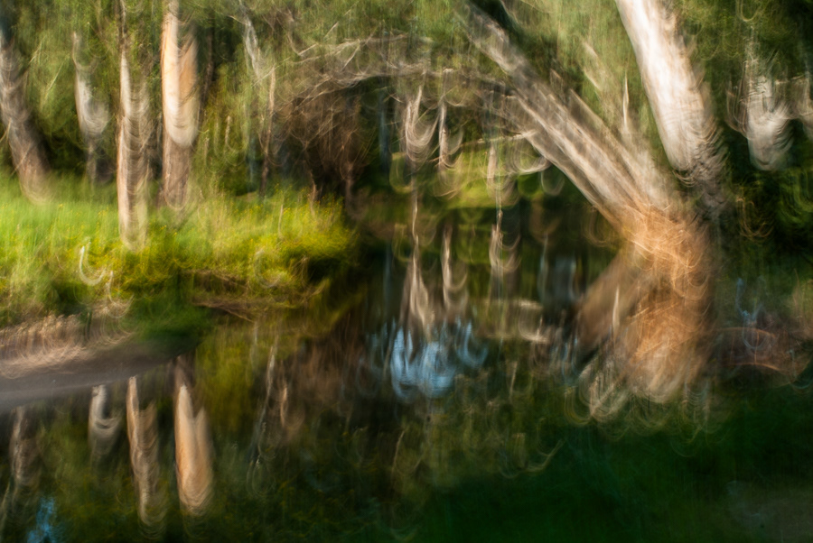 © 2024 Arnold Manda