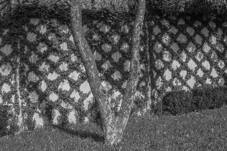 © 2026 Arnold Manda