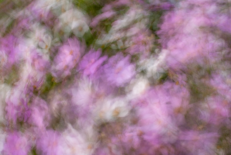 © 2024 Arnold Manda