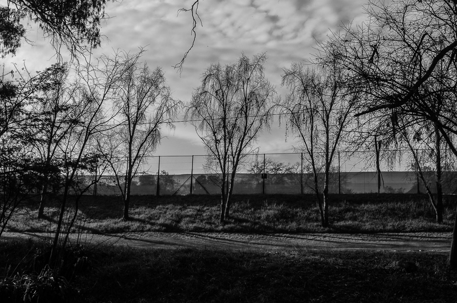 © 2024 Arnold Manda