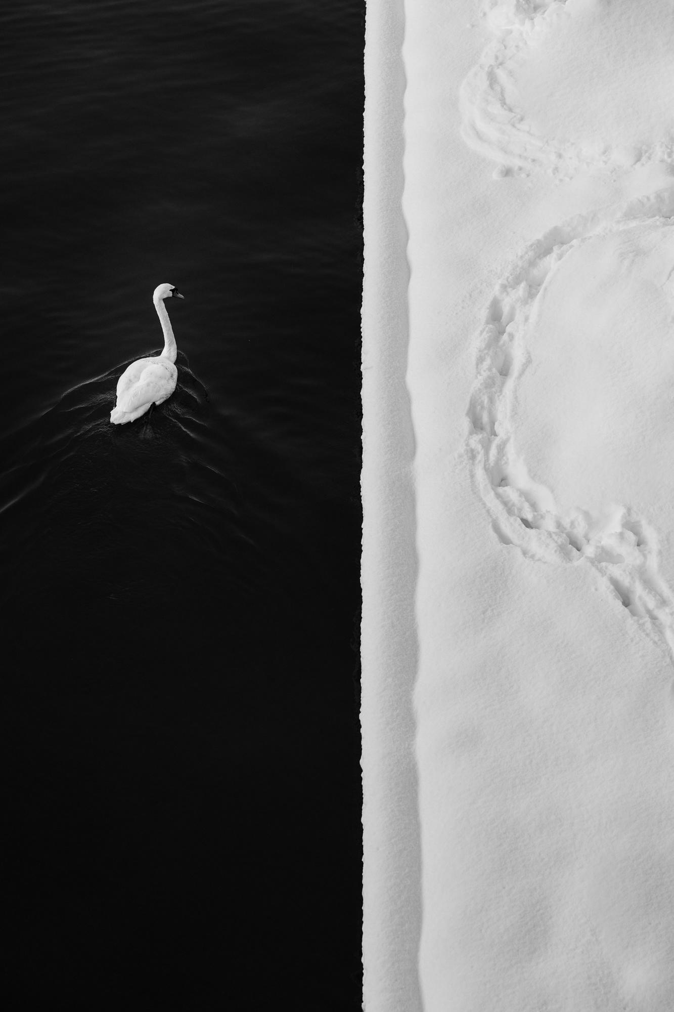 © MAX BURGESS
