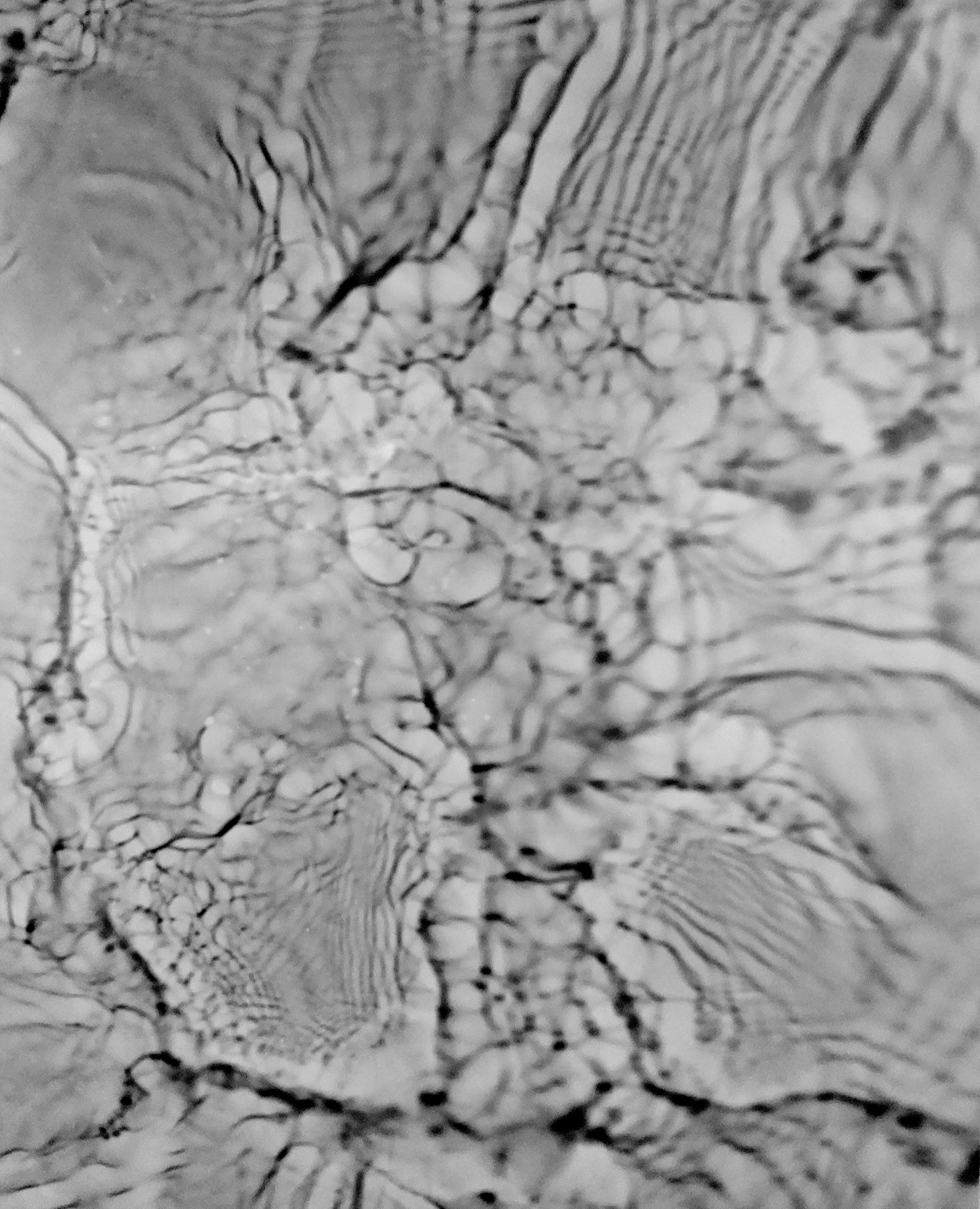 High tide 56.5591° N, 2.5915° W