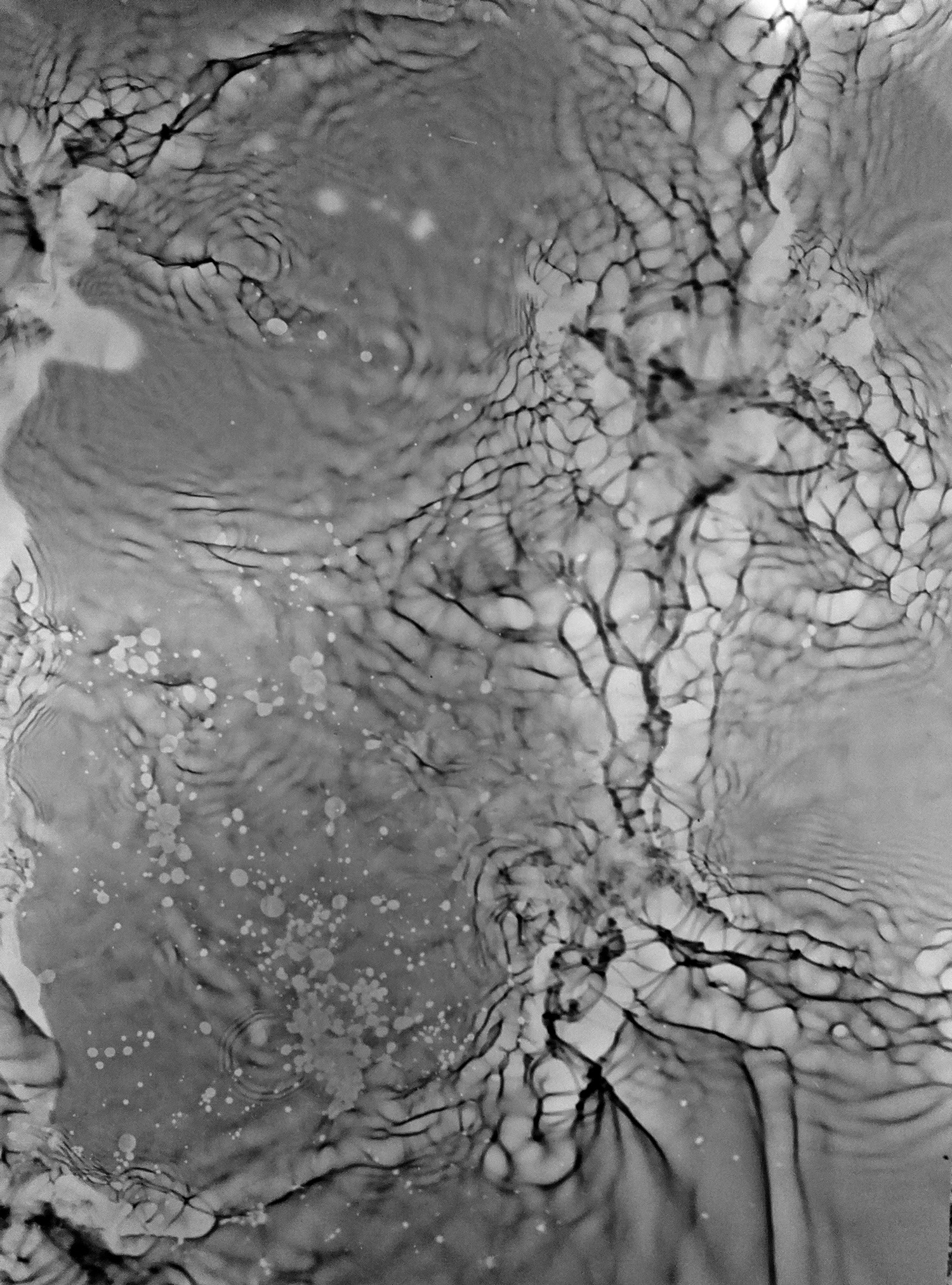 High tide 56.5890° N, 2.5227° W