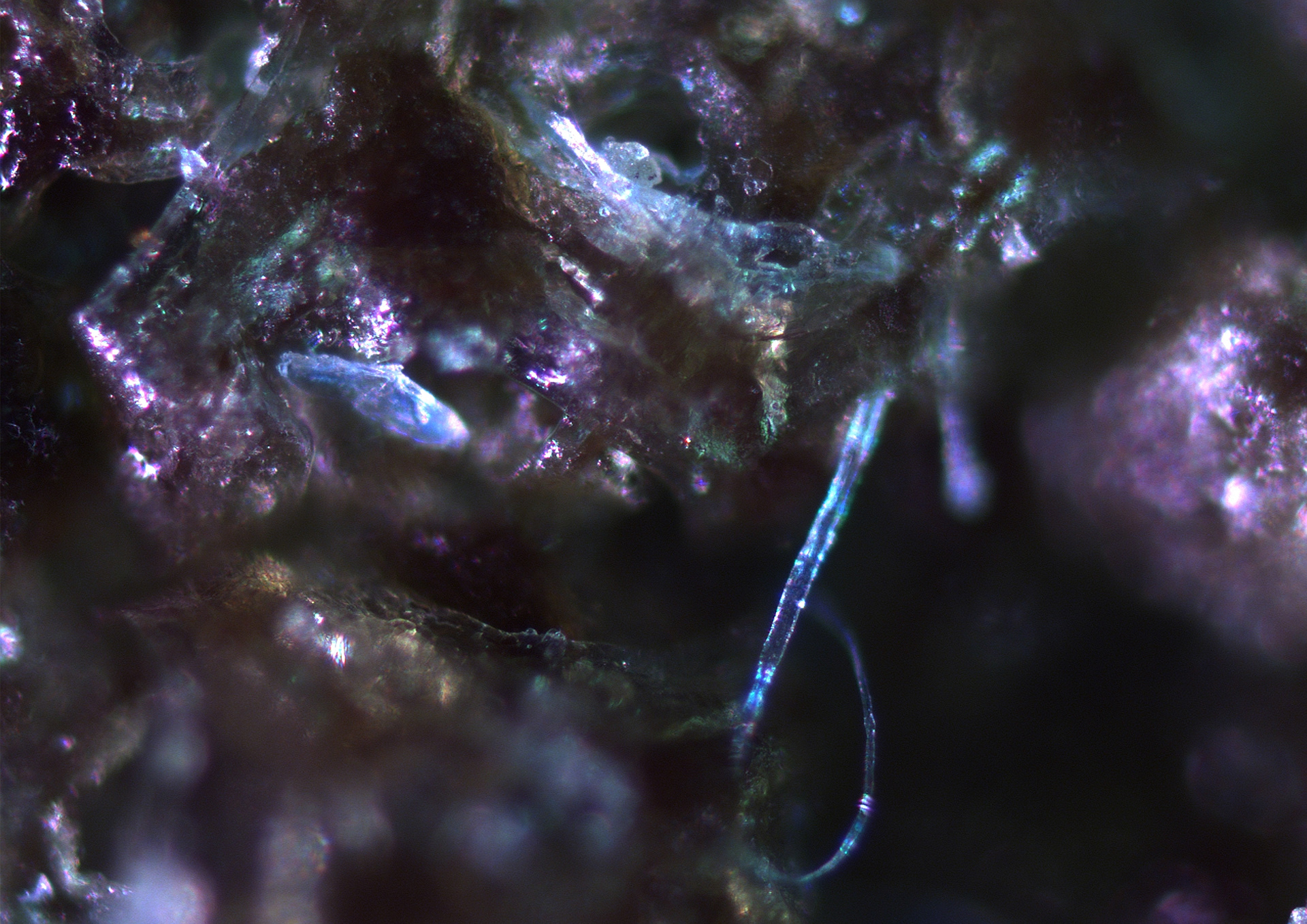 Microscopic picture of bioplastic with Spirulina magnification of 10x life size.