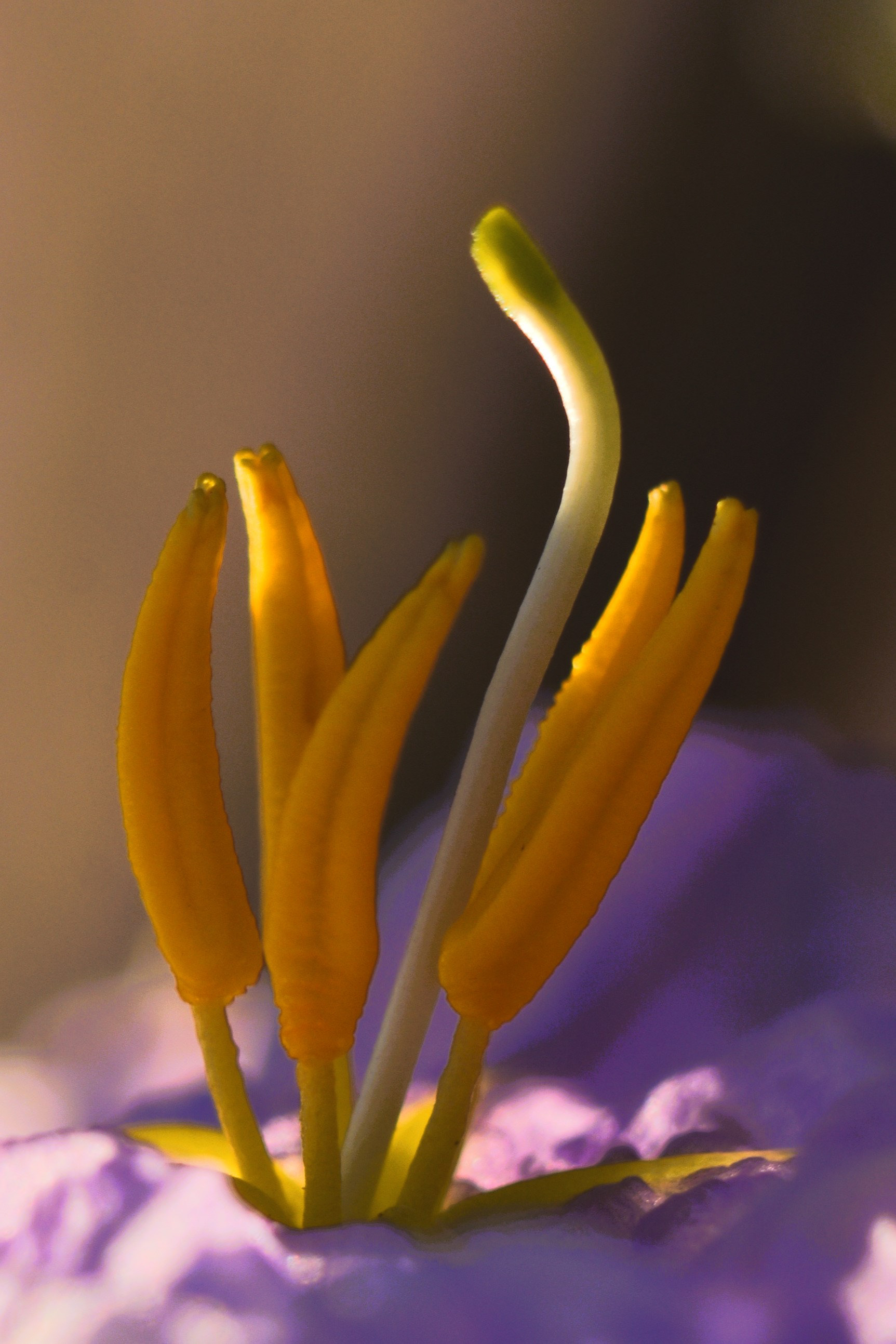 82