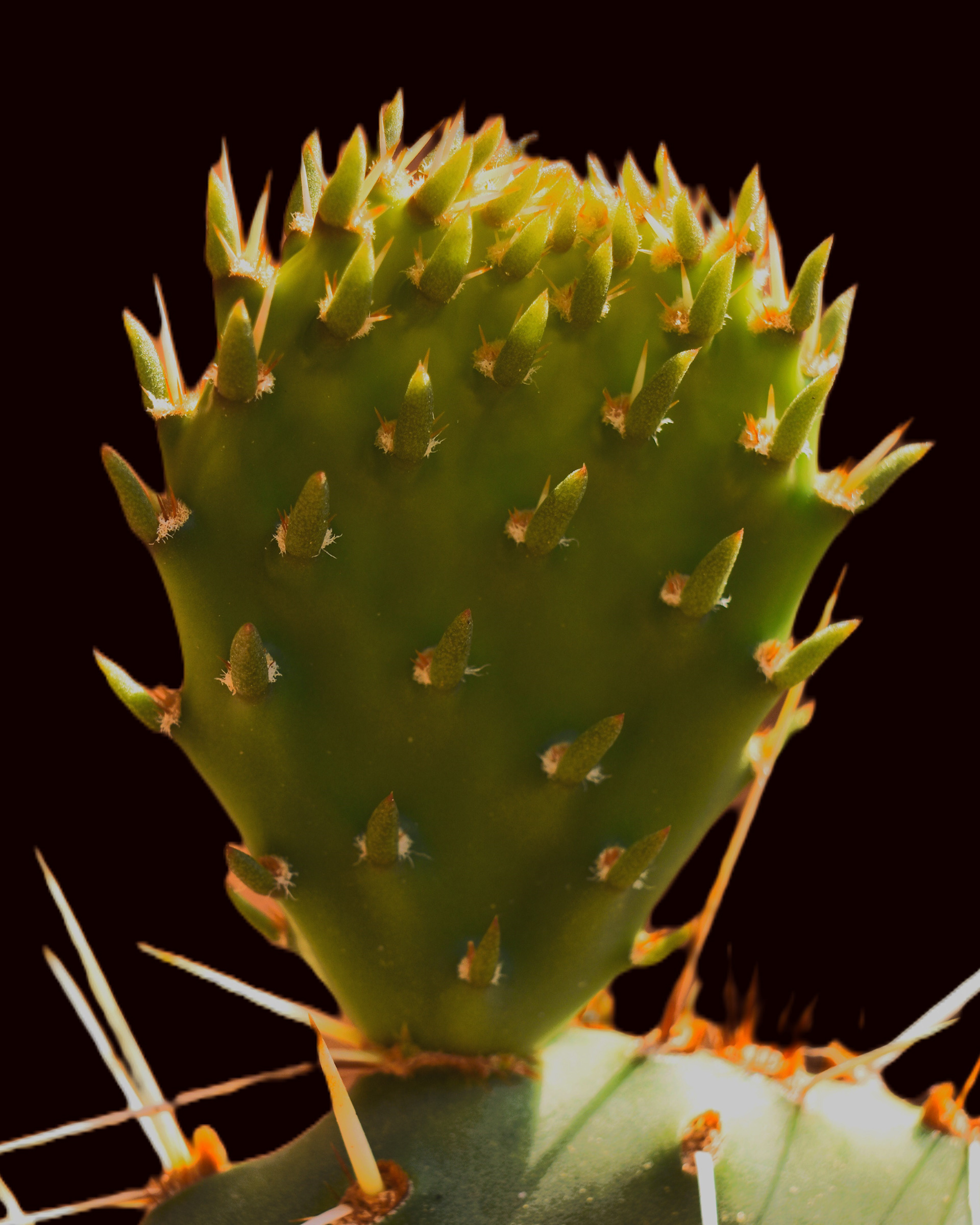 93