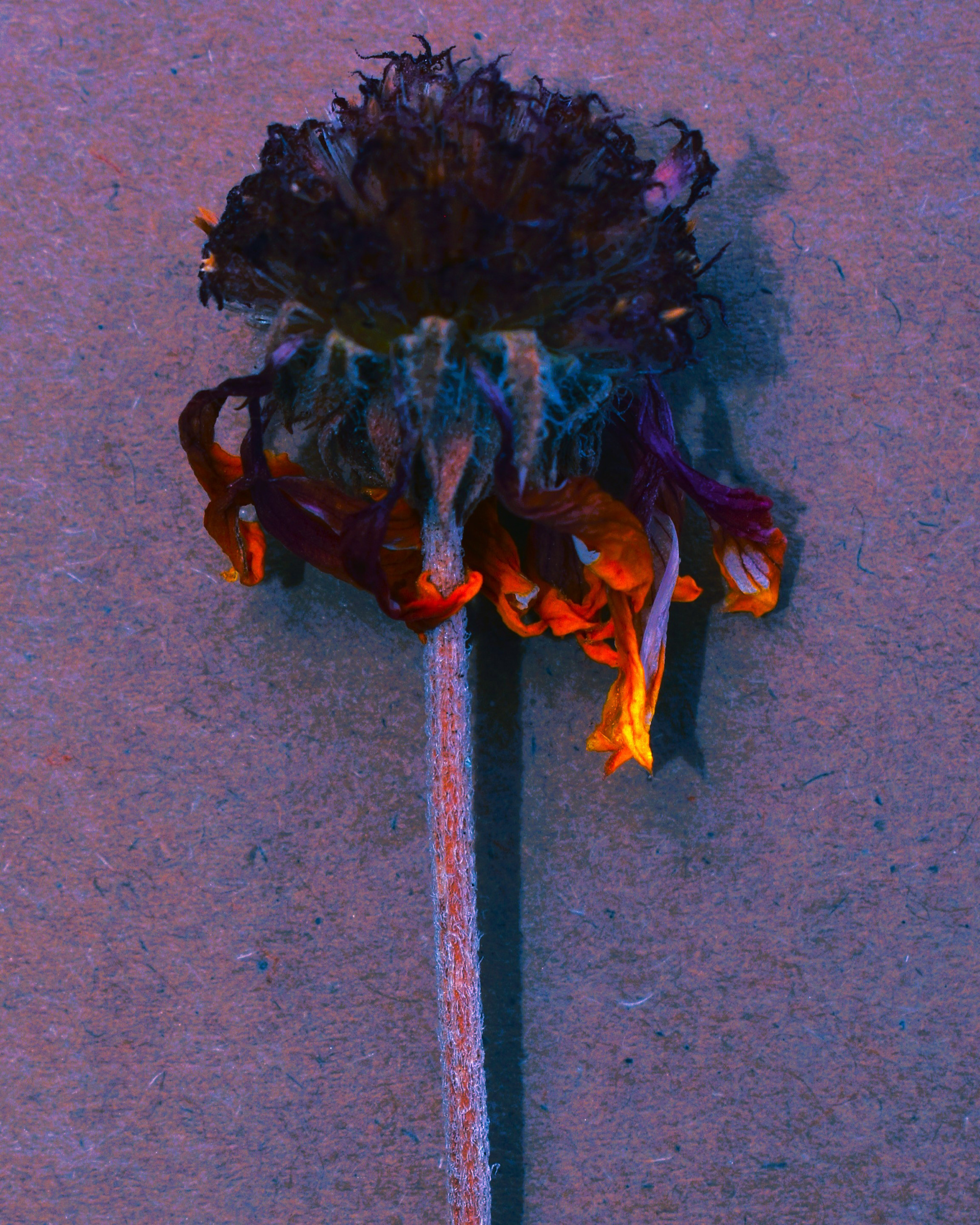 91